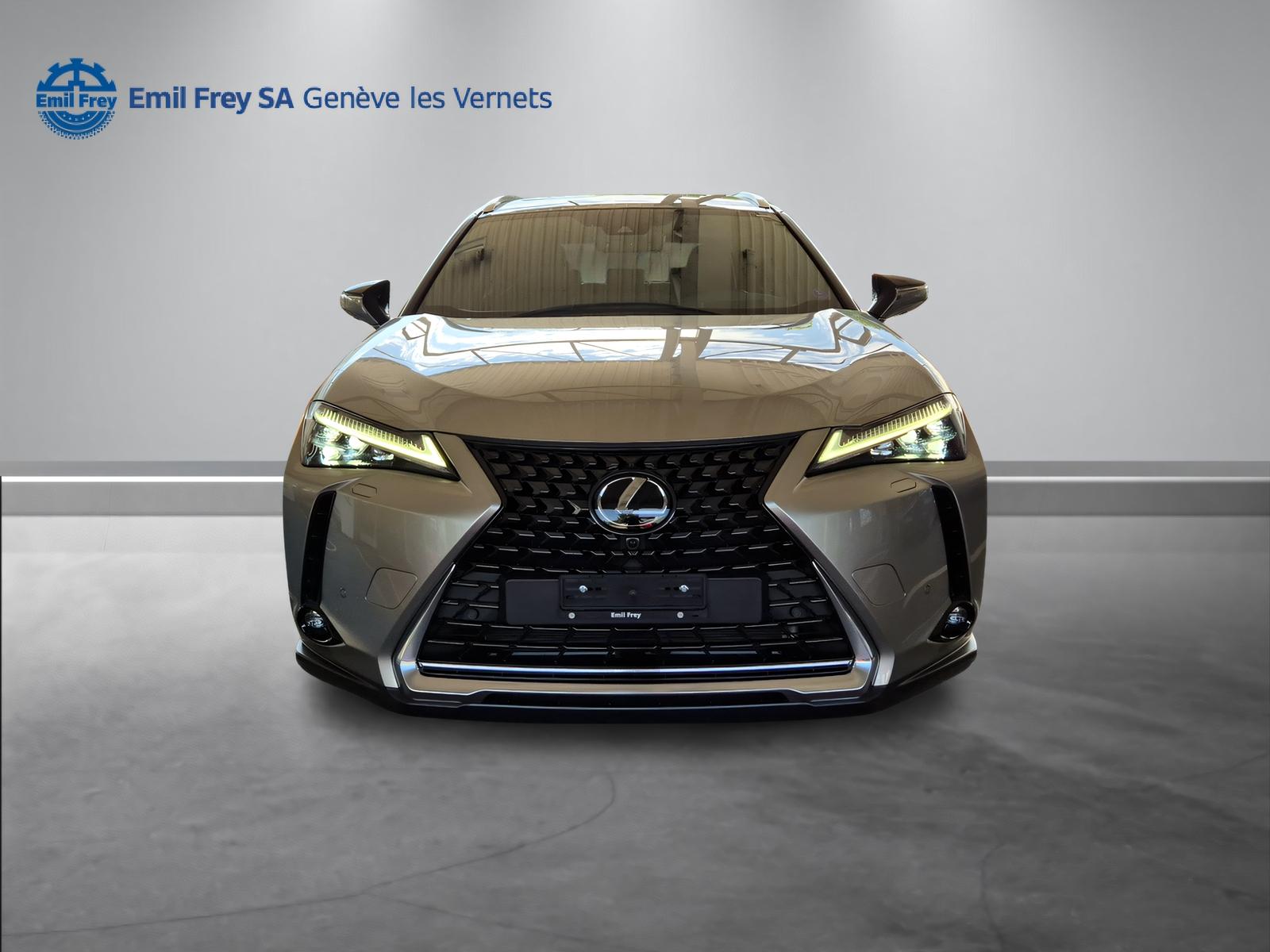 LEXUS UX 250h Excellence-showroom-element-2