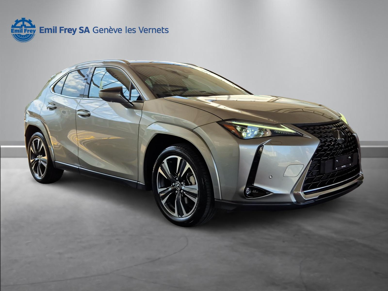 LEXUS UX 250h Excellence-showroom-element-1