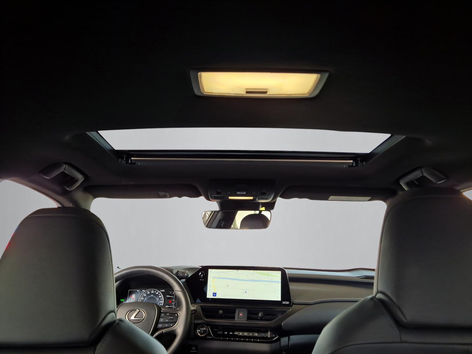 LEXUS UX 250h Excellence-image-9