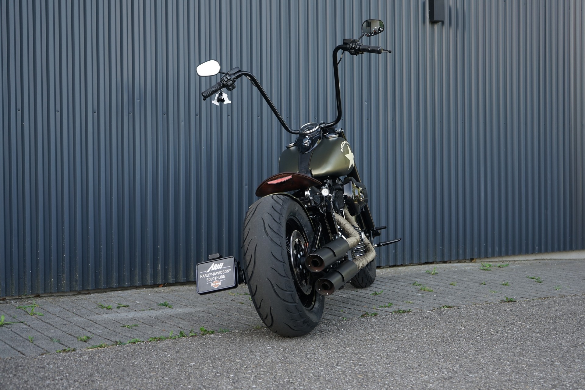 HARLEY-DAVIDSON FLSS Softail Slim S110 ABS-showroom-element-3