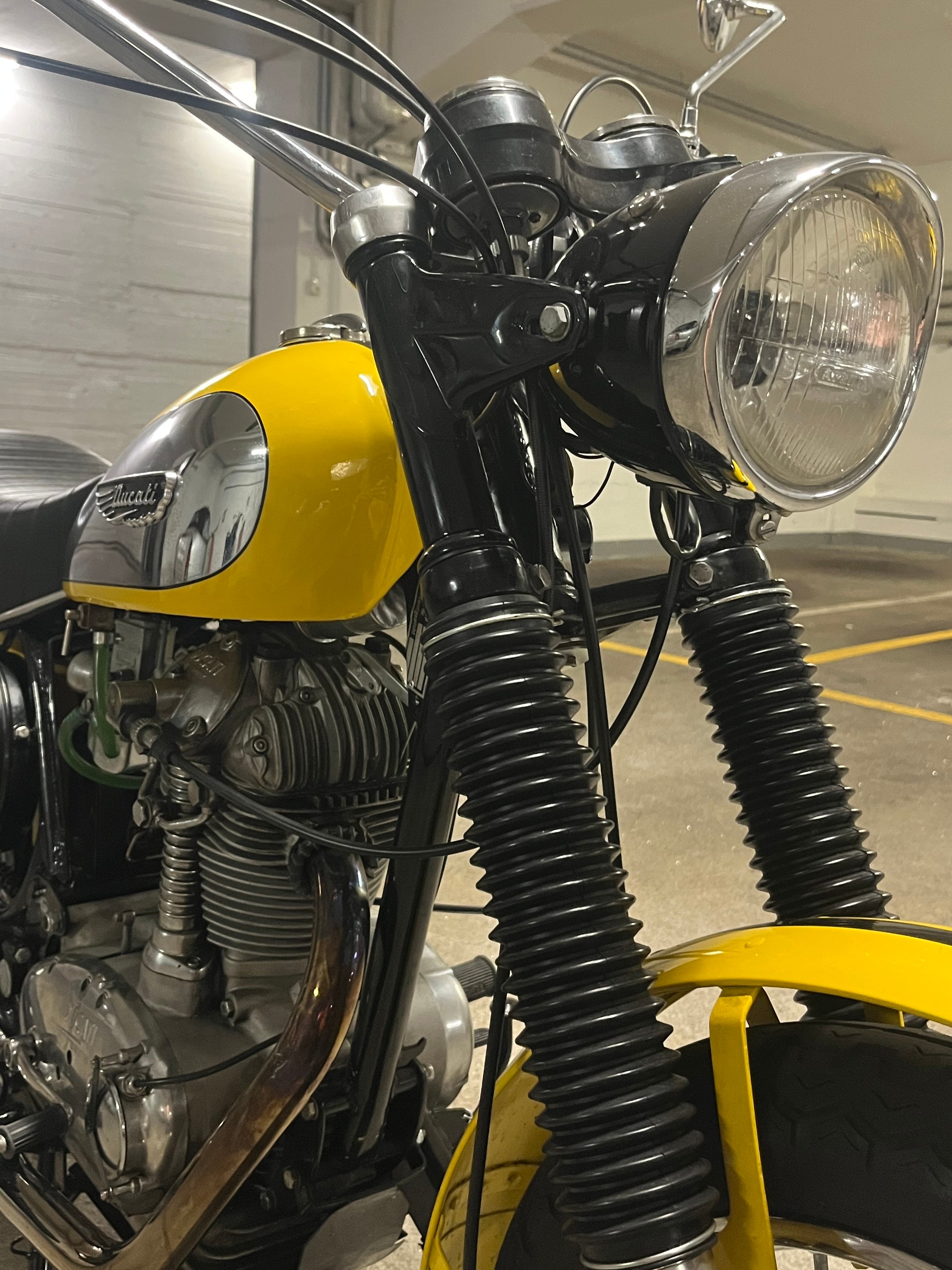 DUCATI Scrambler 450-image-3