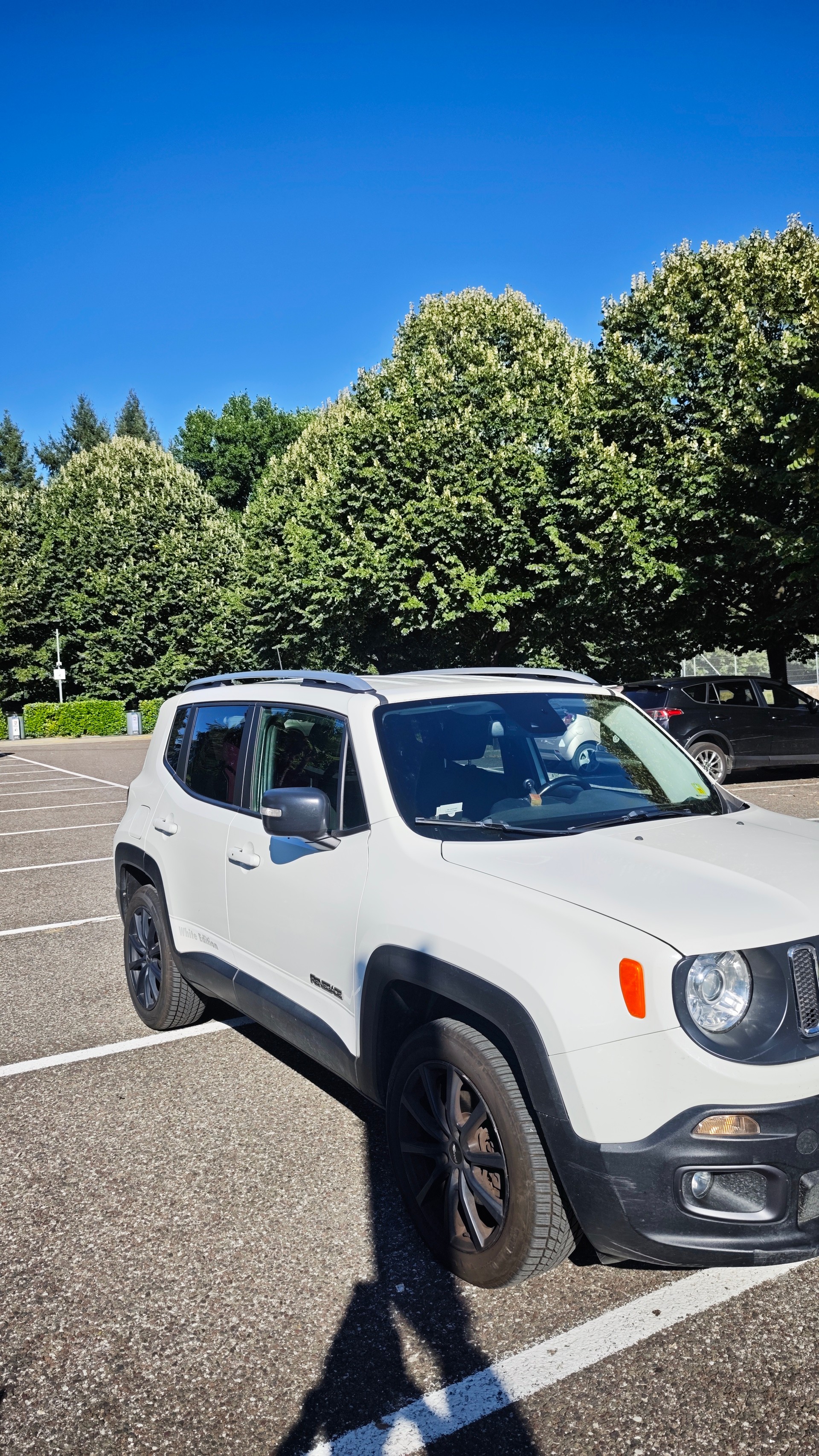 JEEP Renegade 2.0 CRD Limited AWD + Low Range 9ATX-image-8