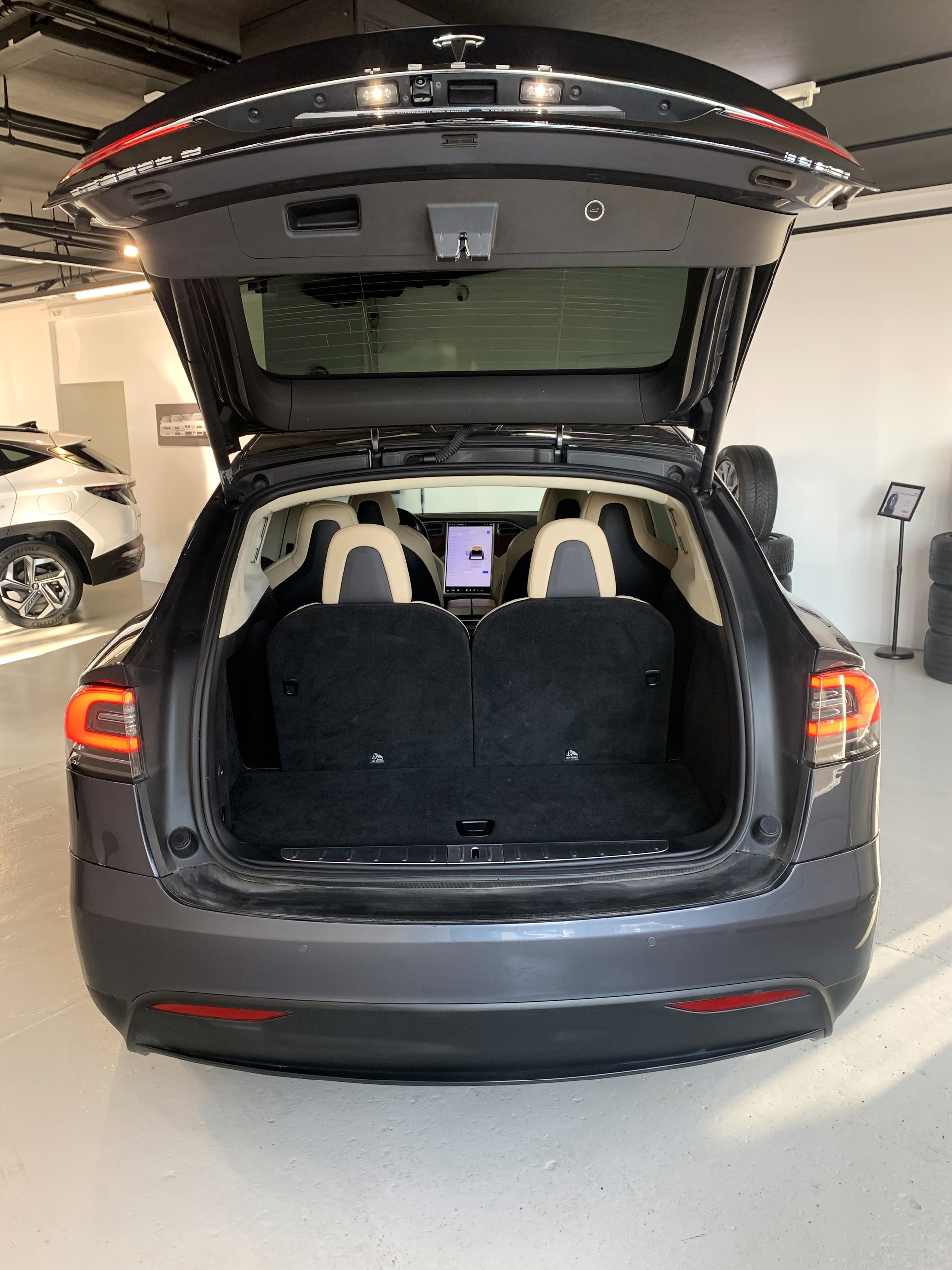 TESLA Model X 100 D-image-13