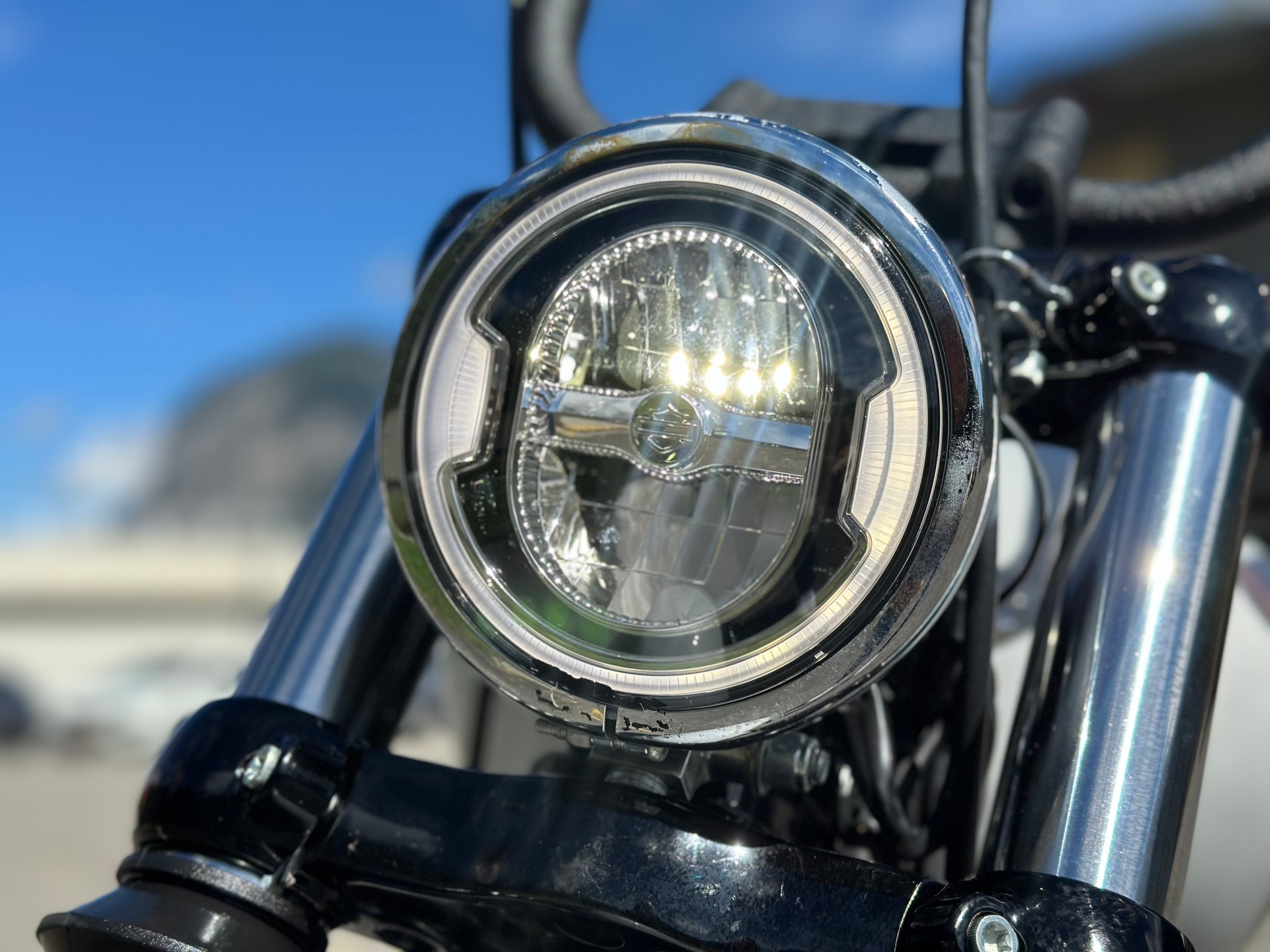 HARLEY-DAVIDSON FXBBS Street Bob 114-image-4