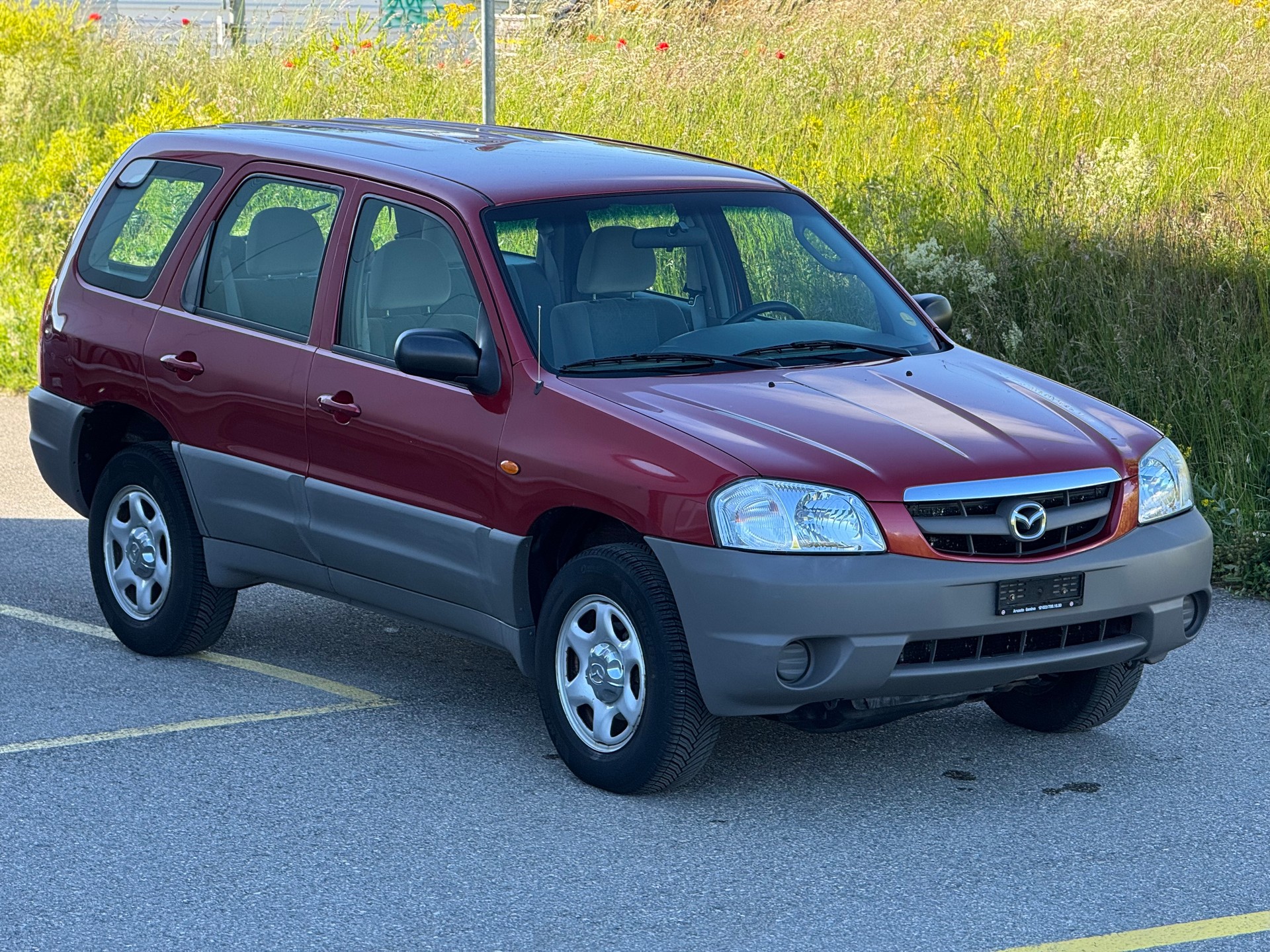 MAZDA Tribute 2.0 16V Comfort-image-2
