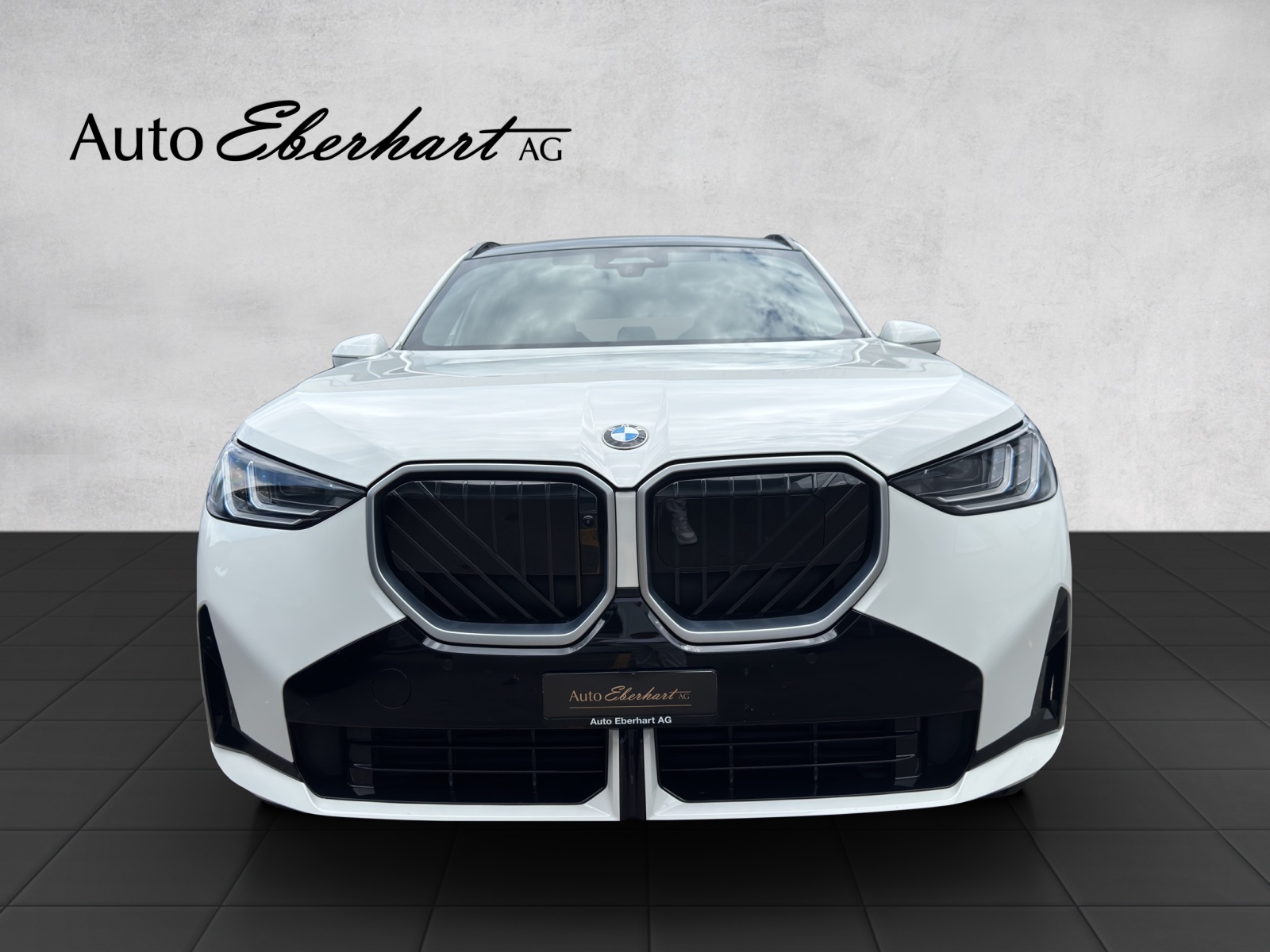 BMW X3 xDrive 48V 40d M Sport-showroom-element-3
