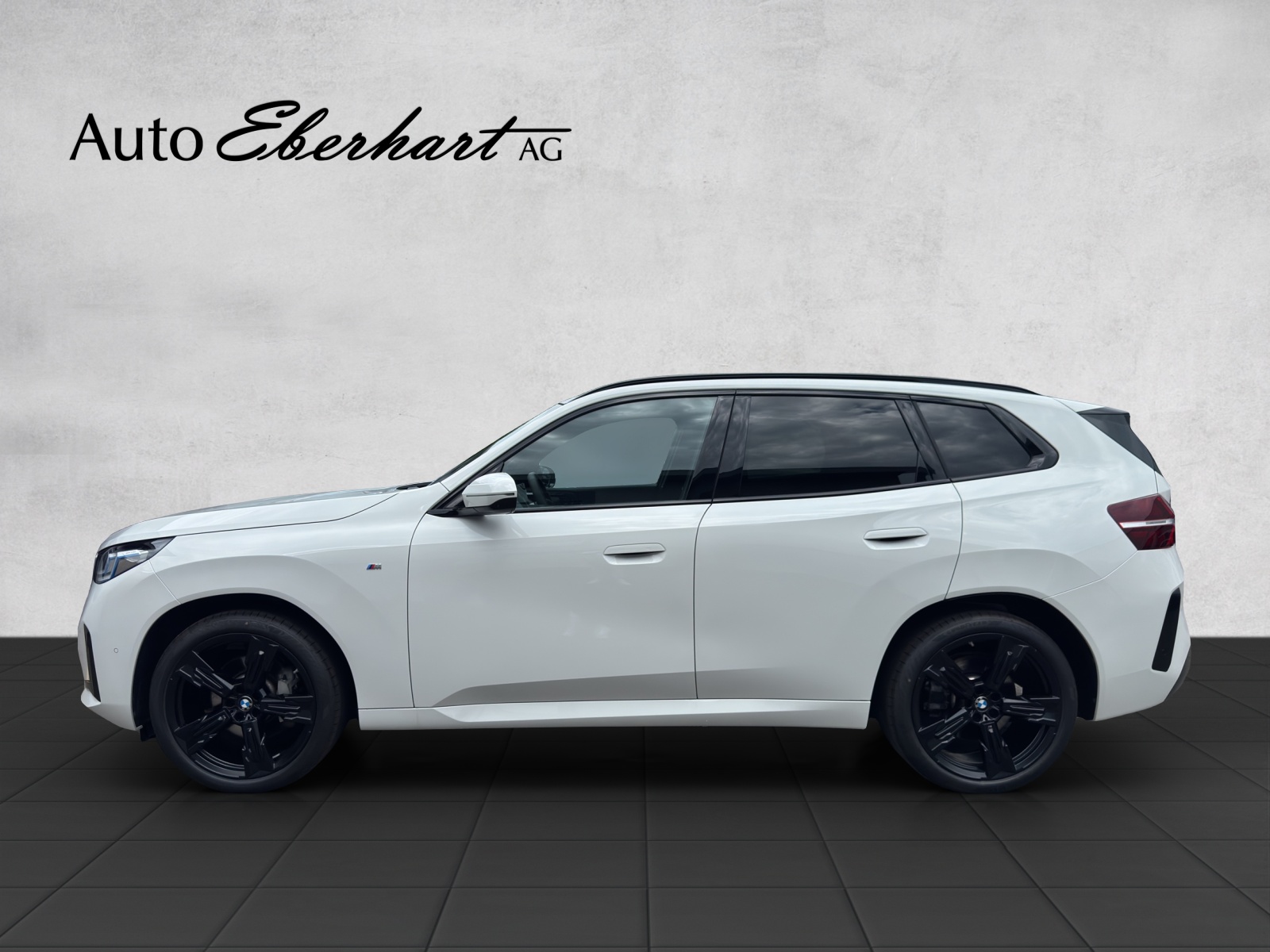 BMW X3 xDrive 48V 40d M Sport-showroom-element-2