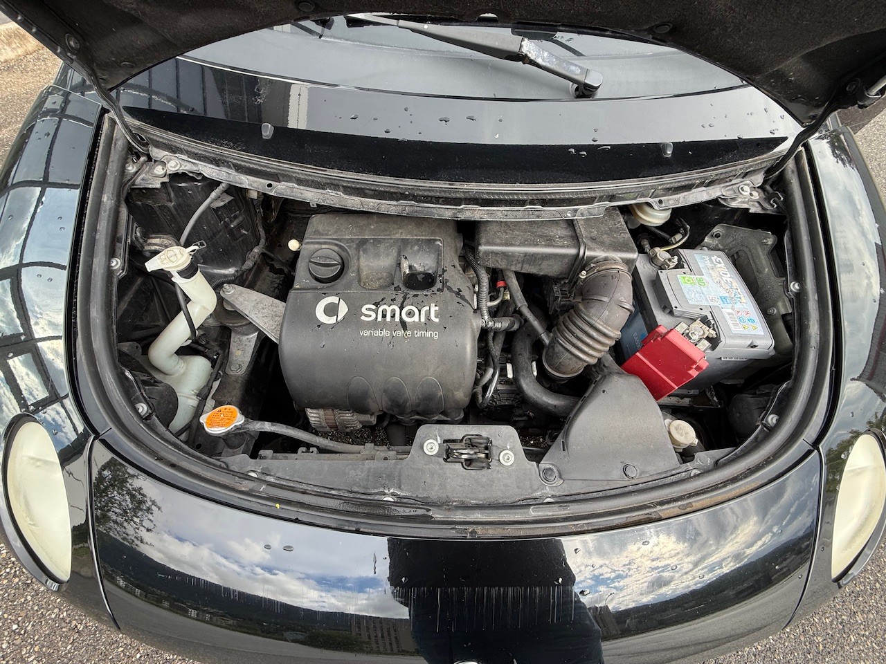 SMART forfour 1.0 pure-image-14