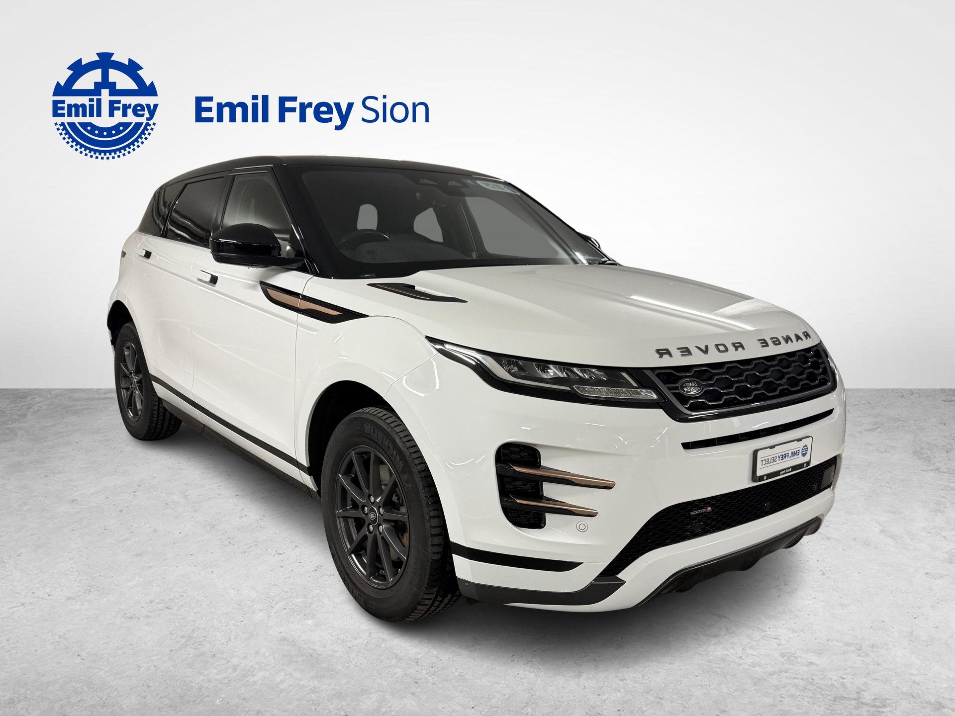 LAND ROVER Range Rover Evoque 2.0 T R-Dynamic-showroom-element-1