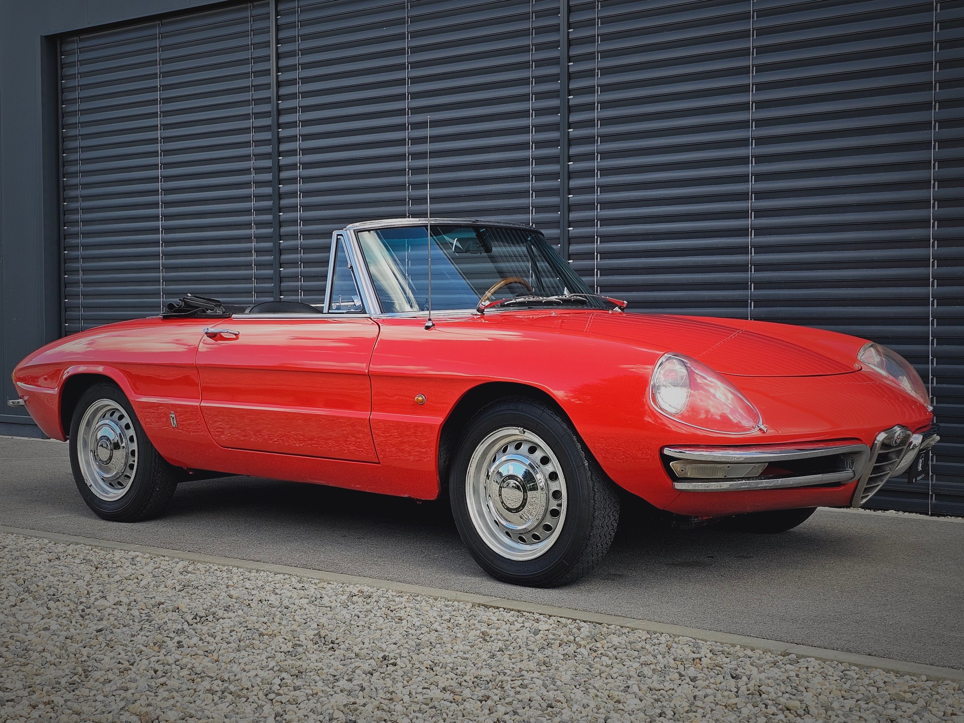 ALFA ROMEO 1600 DUETTO 1 re série « osso di seppia - os de seiche »-showroom-element-1