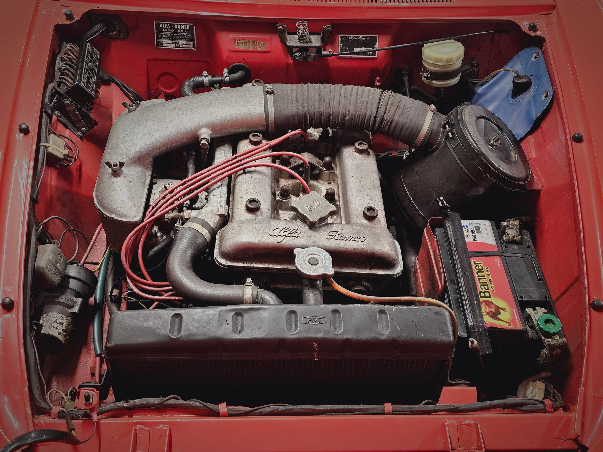 ALFA ROMEO 1600 DUETTO 1 re série « osso di seppia - os de seiche »-image-14