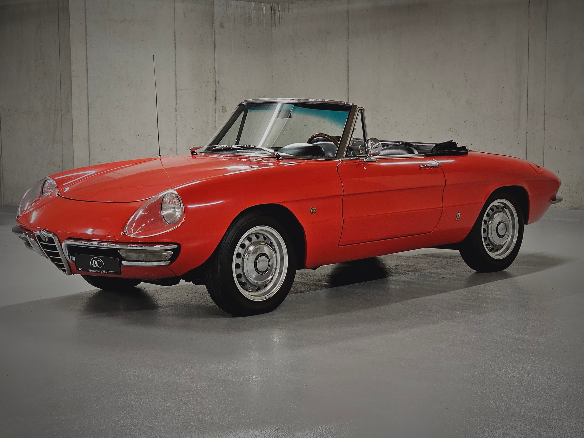 ALFA ROMEO 1600 DUETTO 1 re série « osso di seppia - os de seiche »-showroom-element-2