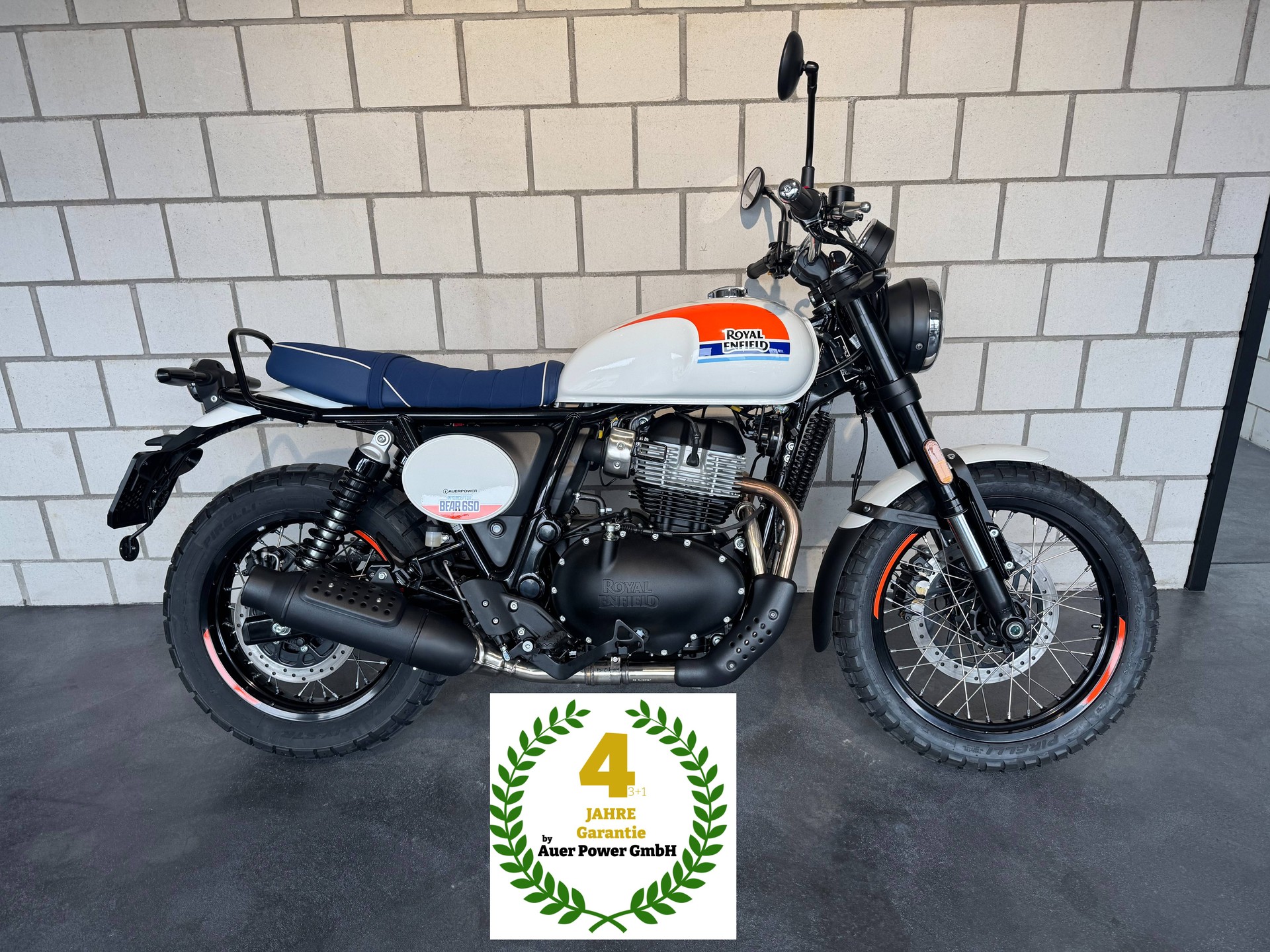 ROYAL ENFIELD Bear 650 Base-image-0