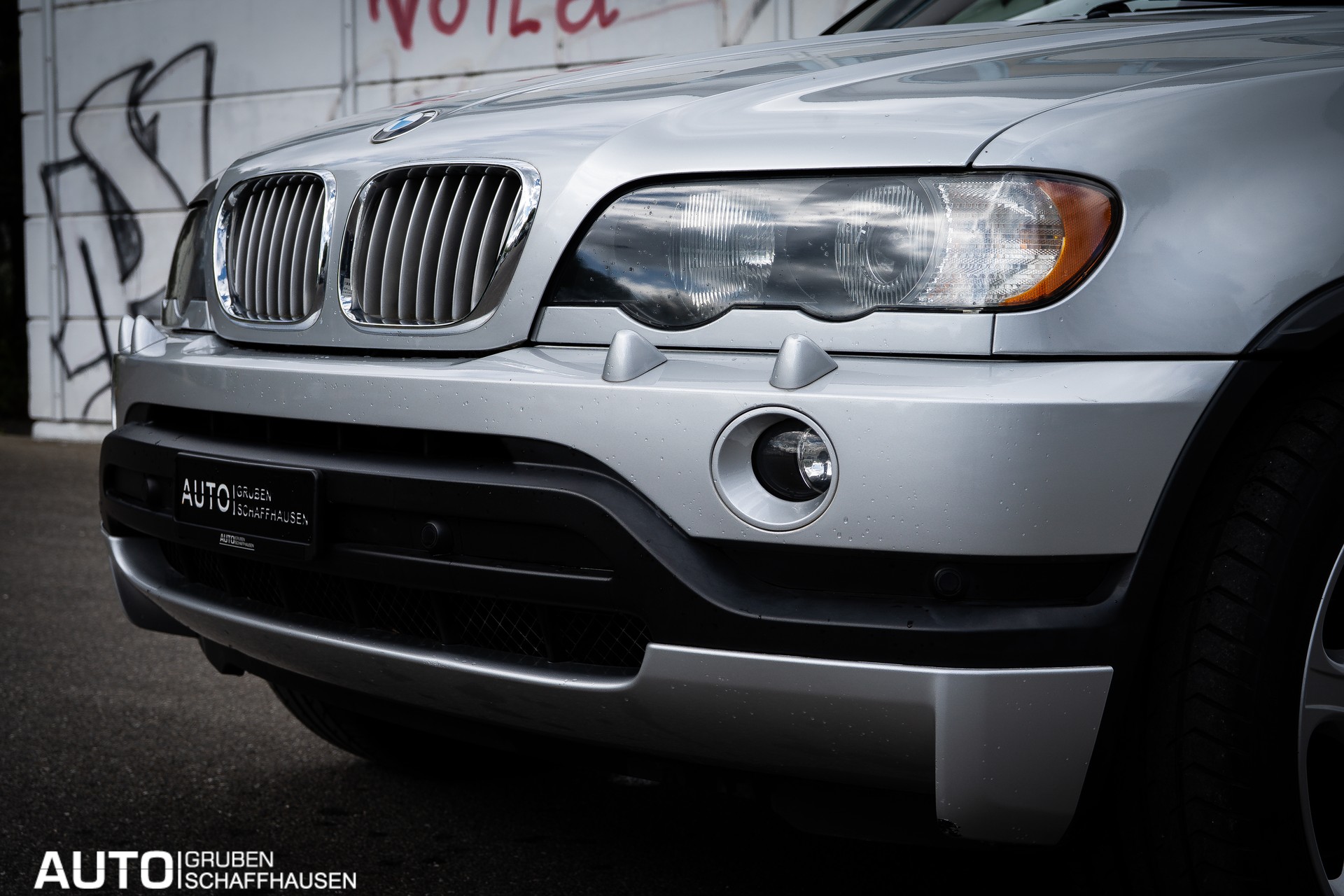 BMW X5 4.6is-image-5