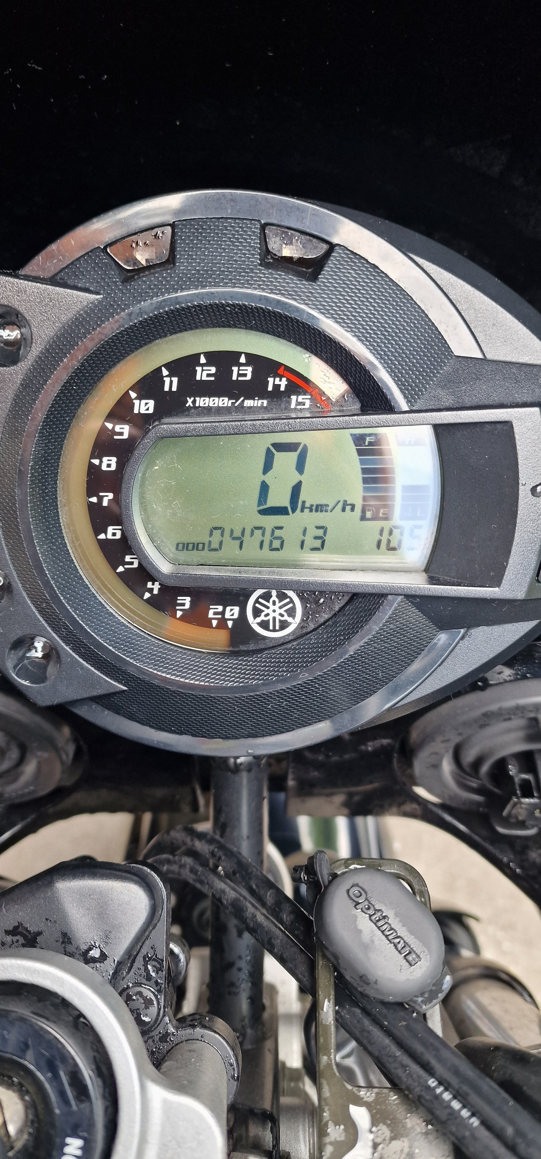 YAMAHA FZ6 Fazer (25kW)-image-4