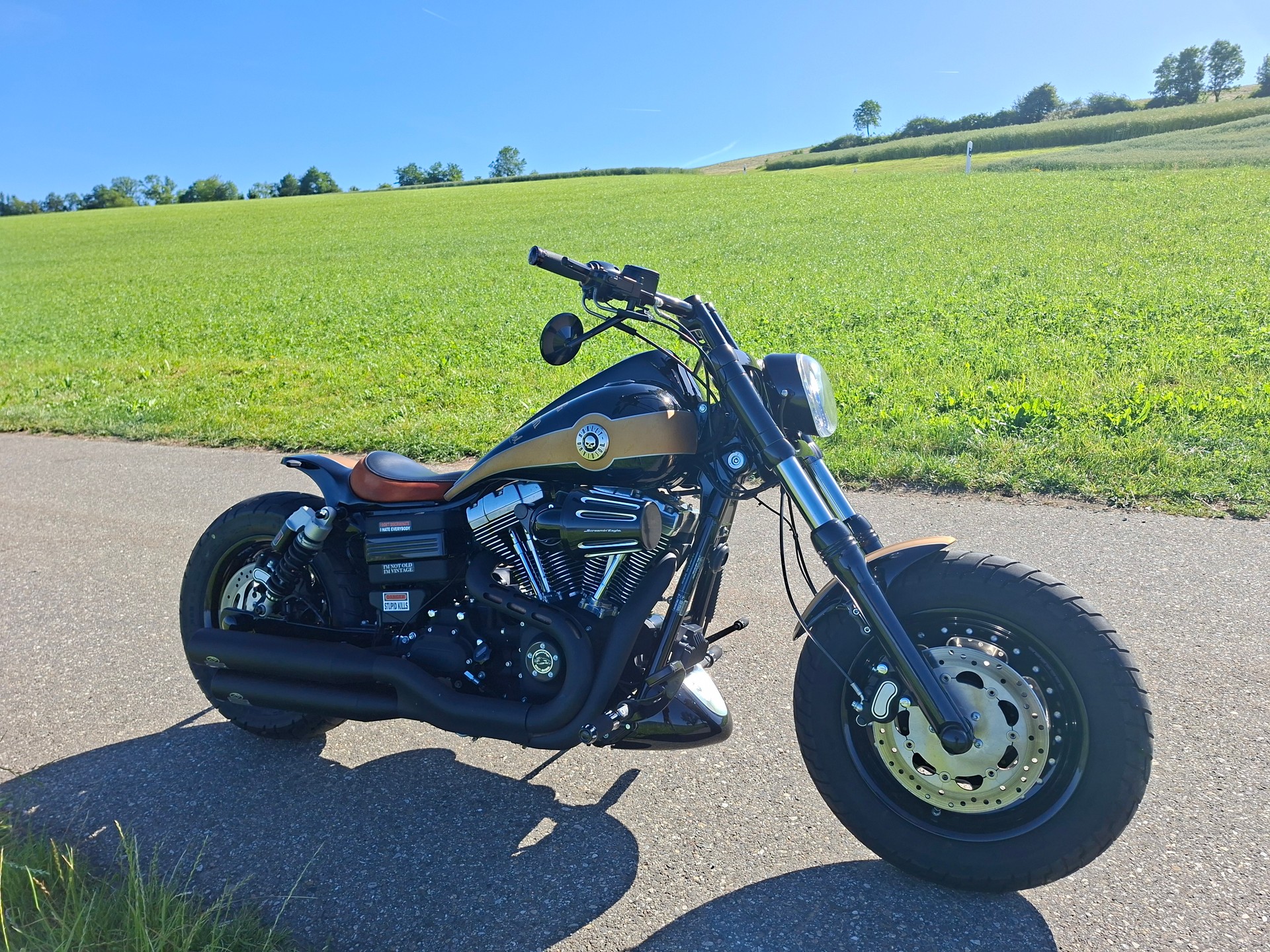 HARLEY-DAVIDSON FXDF Dyna Fat Bob ABS-image-0
