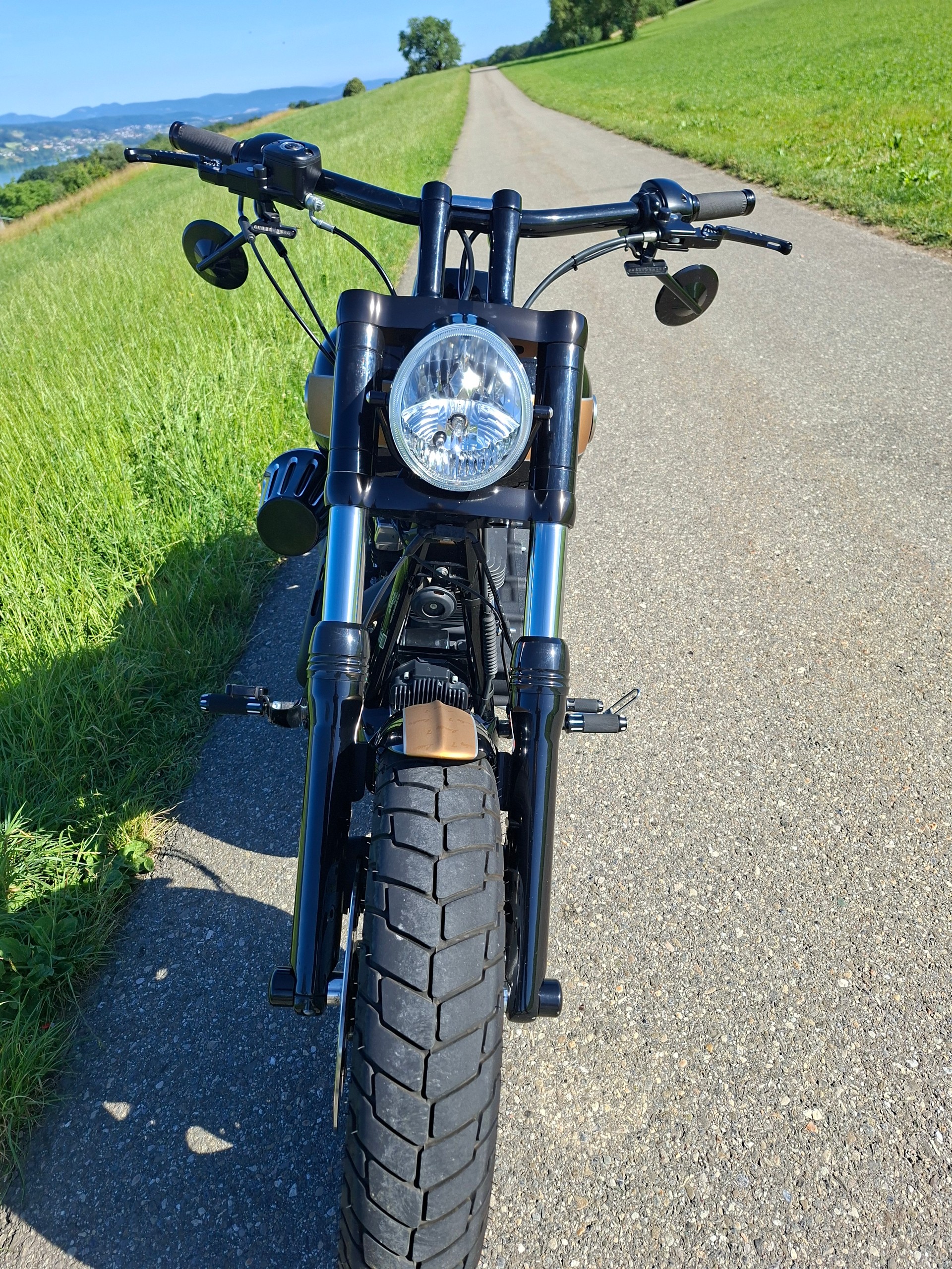 HARLEY-DAVIDSON FXDF Dyna Fat Bob ABS-image-6