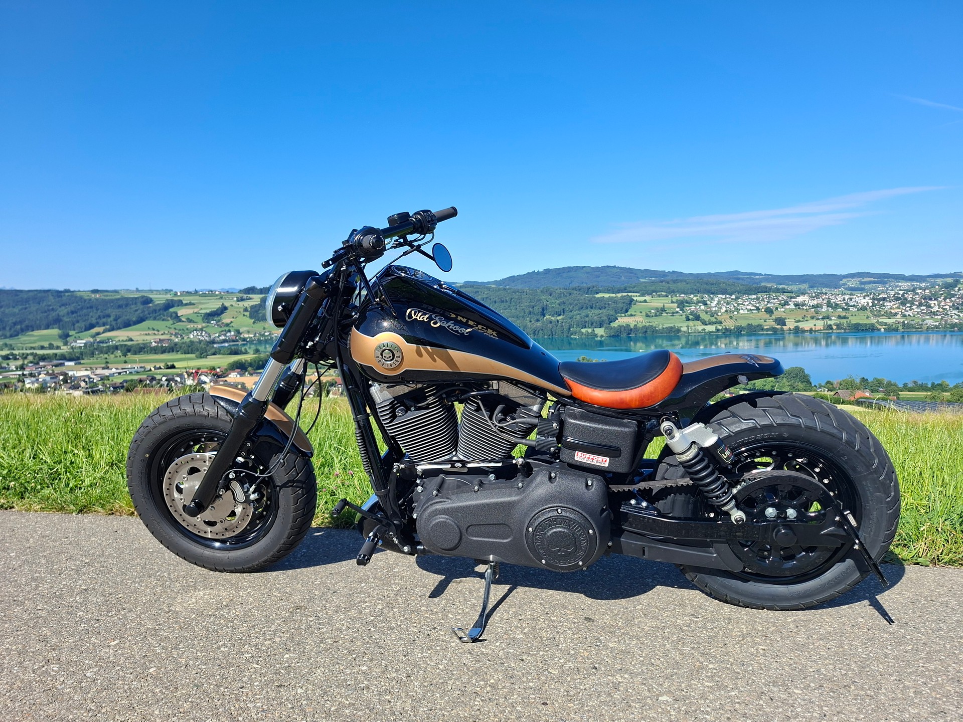 HARLEY-DAVIDSON FXDF Dyna Fat Bob ABS-image-5