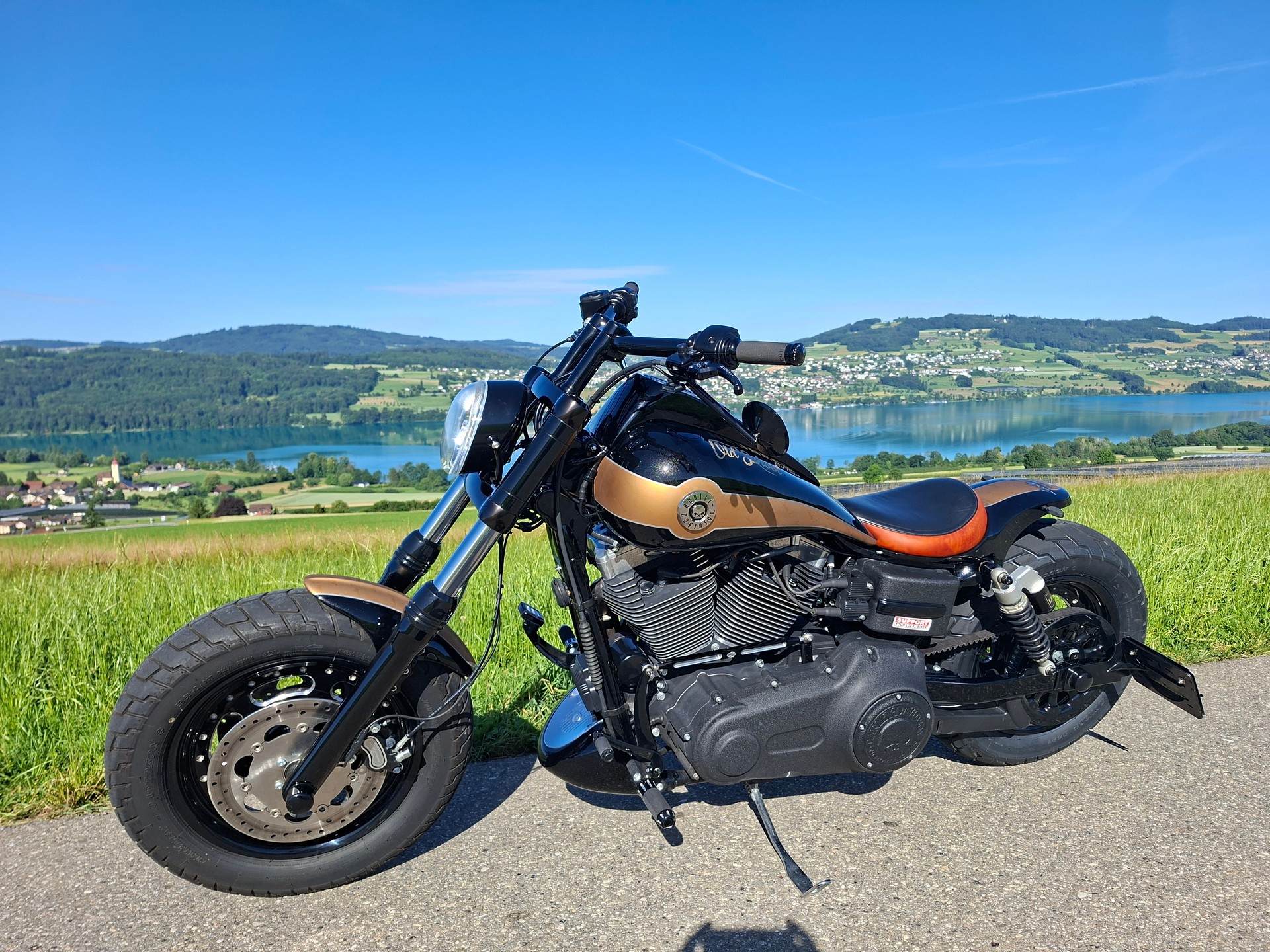 HARLEY-DAVIDSON FXDF Dyna Fat Bob ABS-image-1