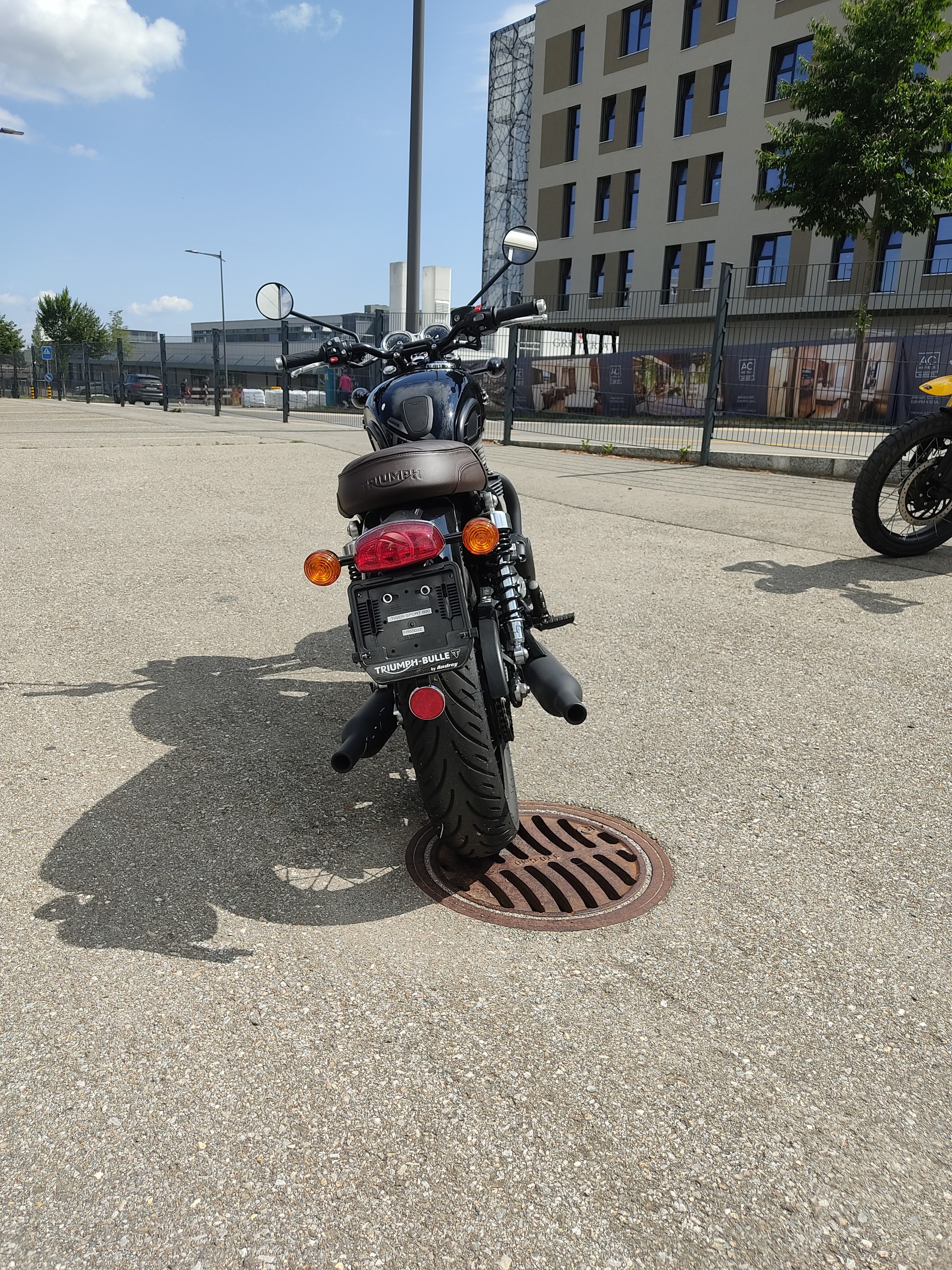TRIUMPH T120-image-3