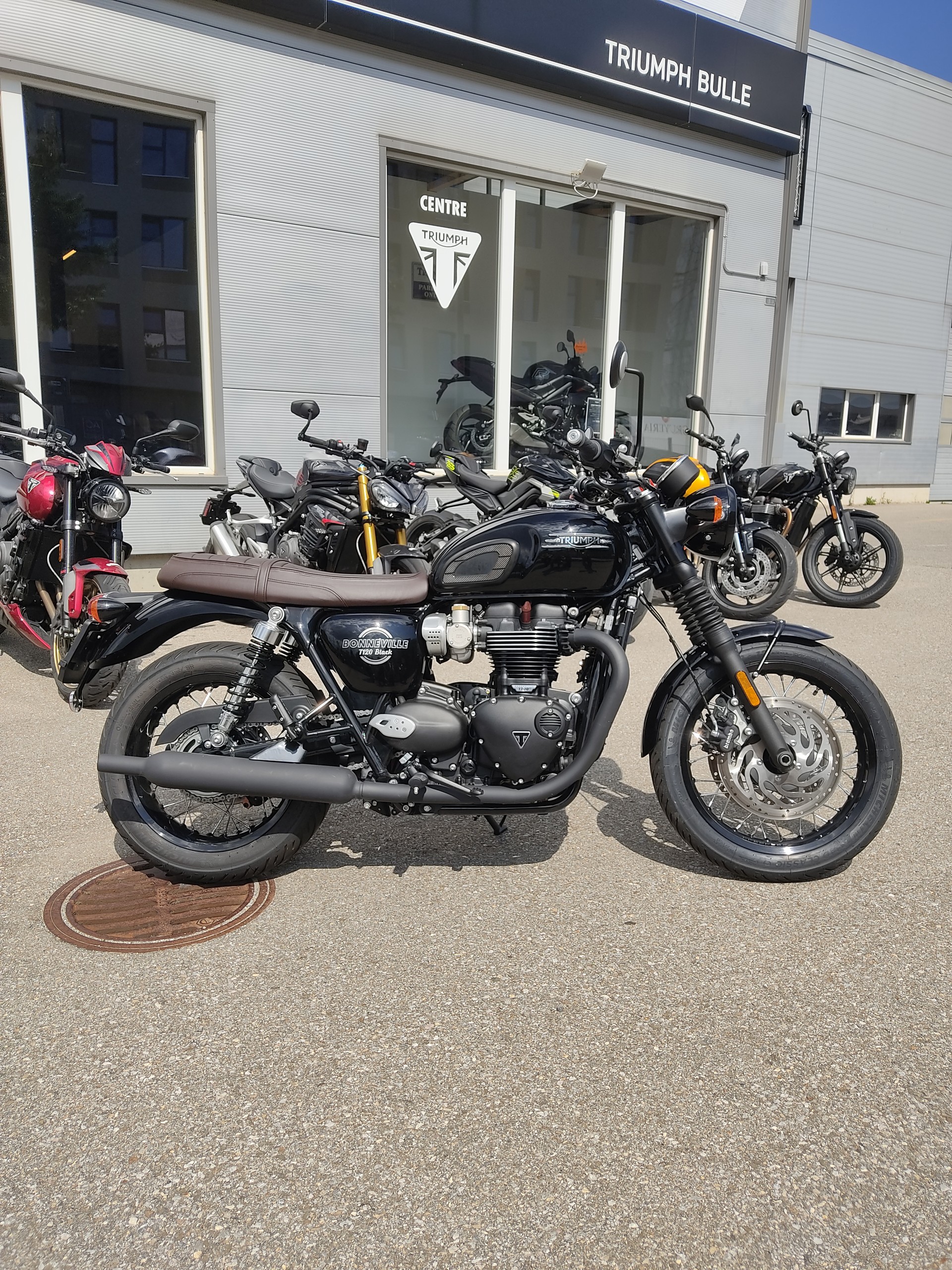 TRIUMPH T120-image-1