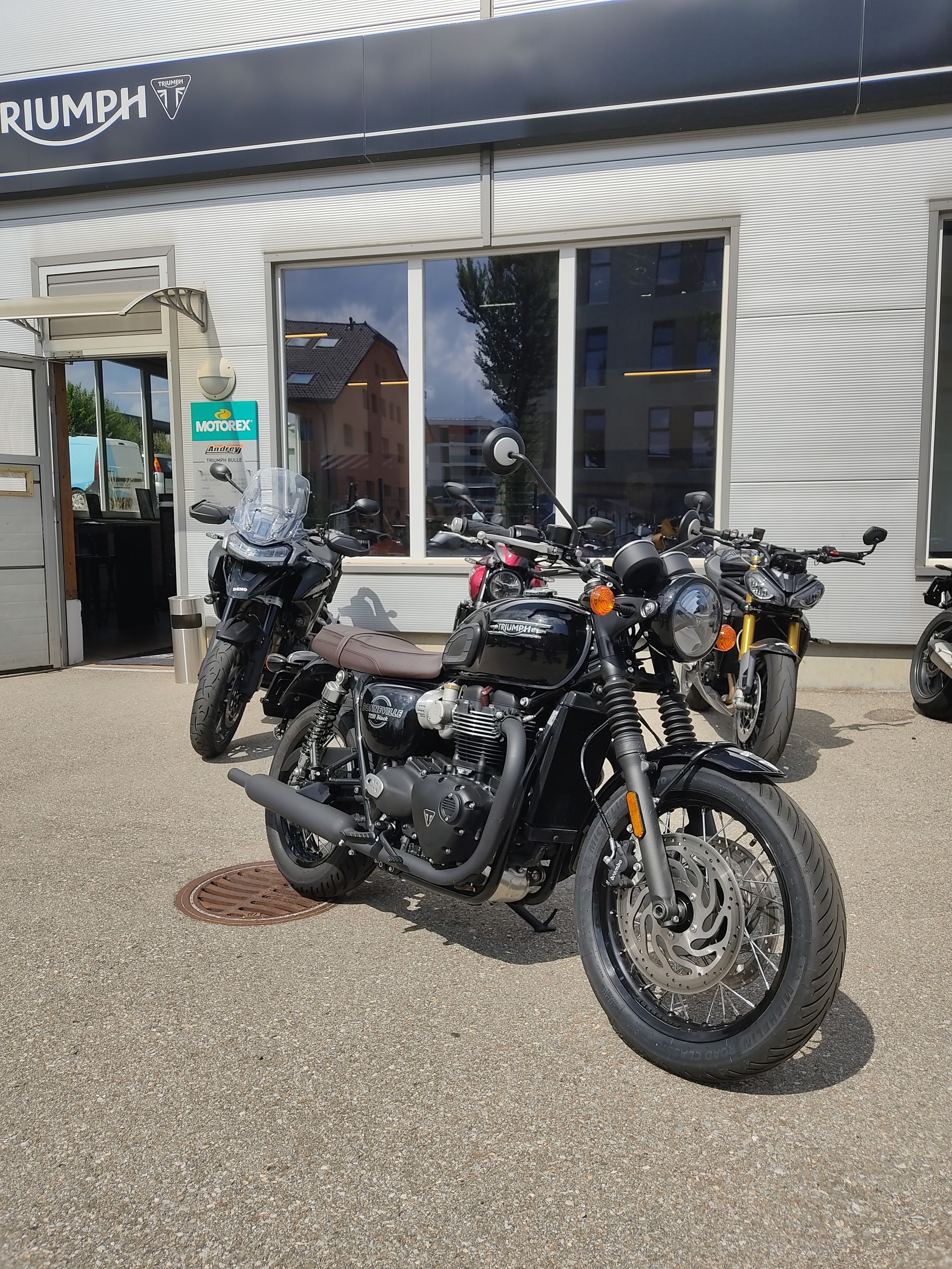 TRIUMPH T120-image-0