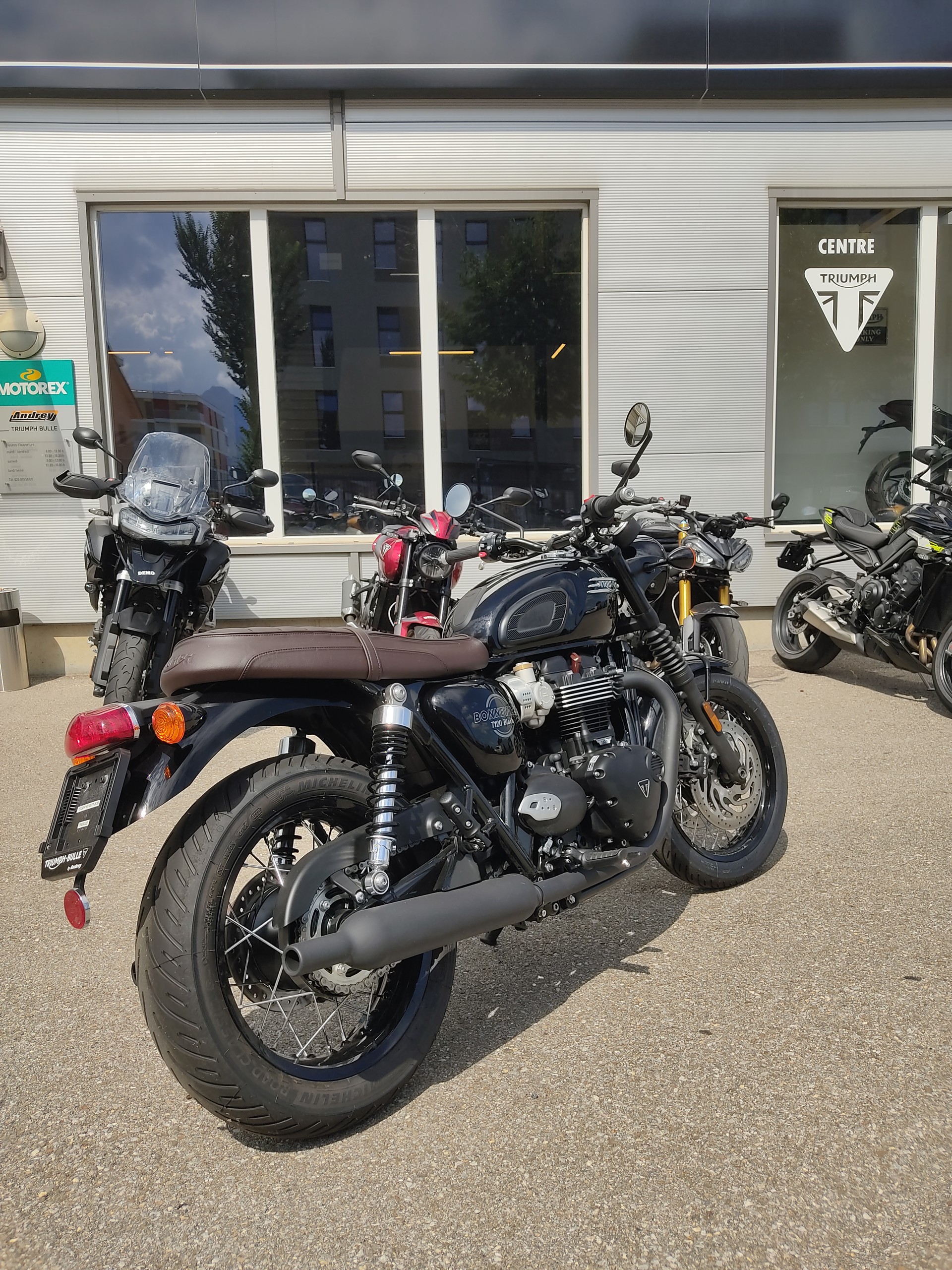 TRIUMPH T120-image-2