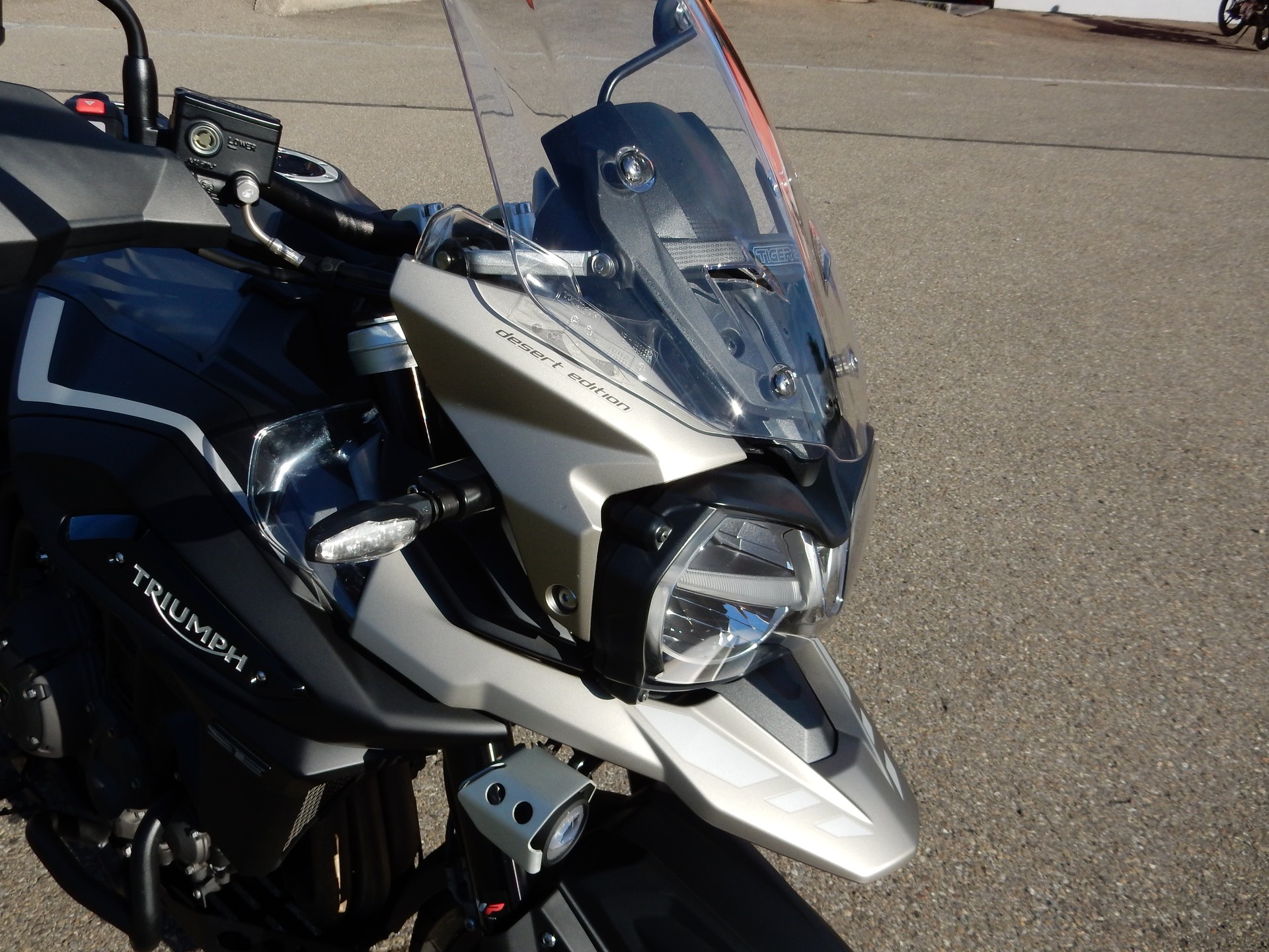 TRIUMPH 1200 Desert-image-4