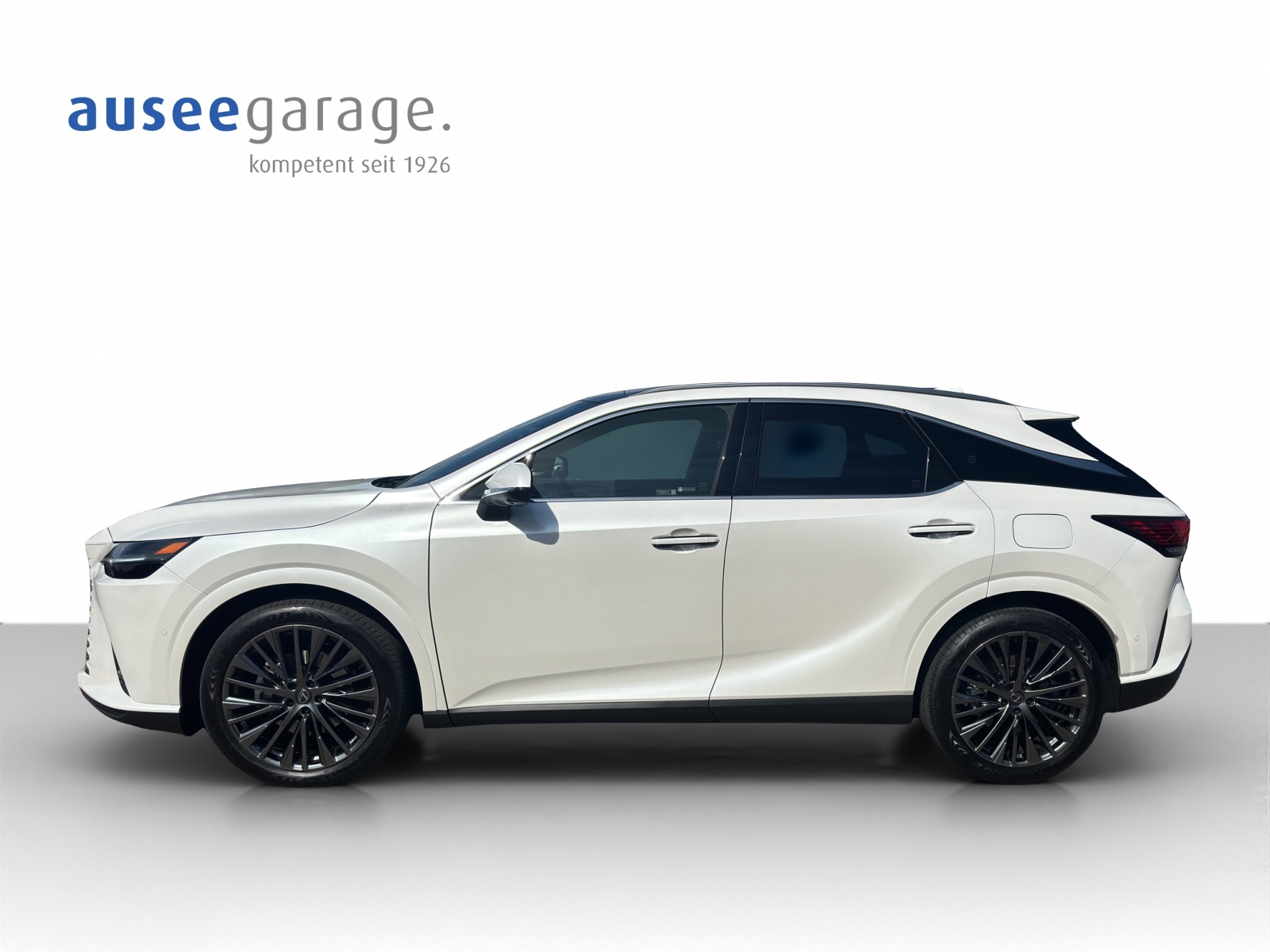 LEXUS RX 450h+ Excellence-showroom-element-1