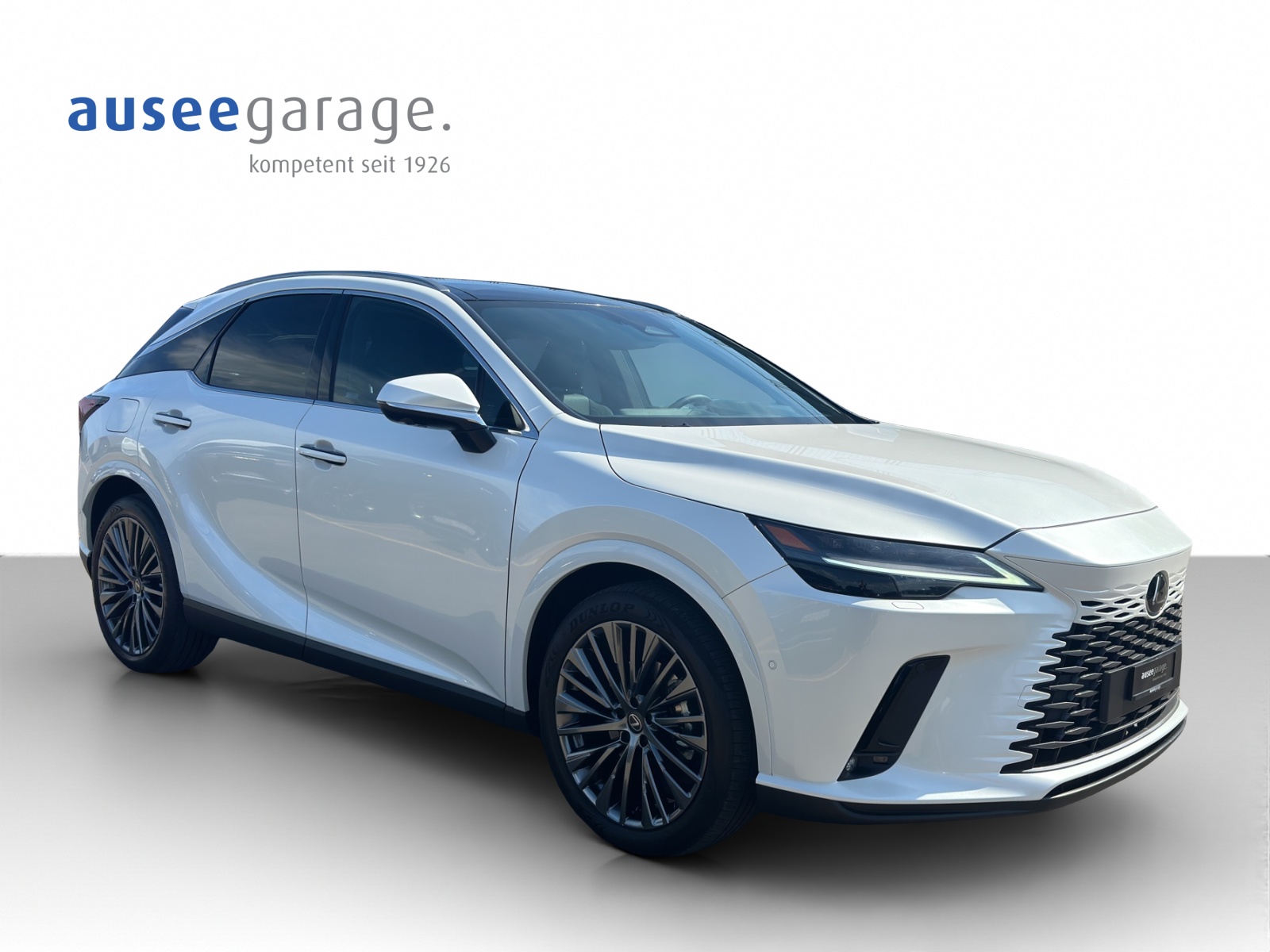 LEXUS RX 450h+ Excellence-image-6