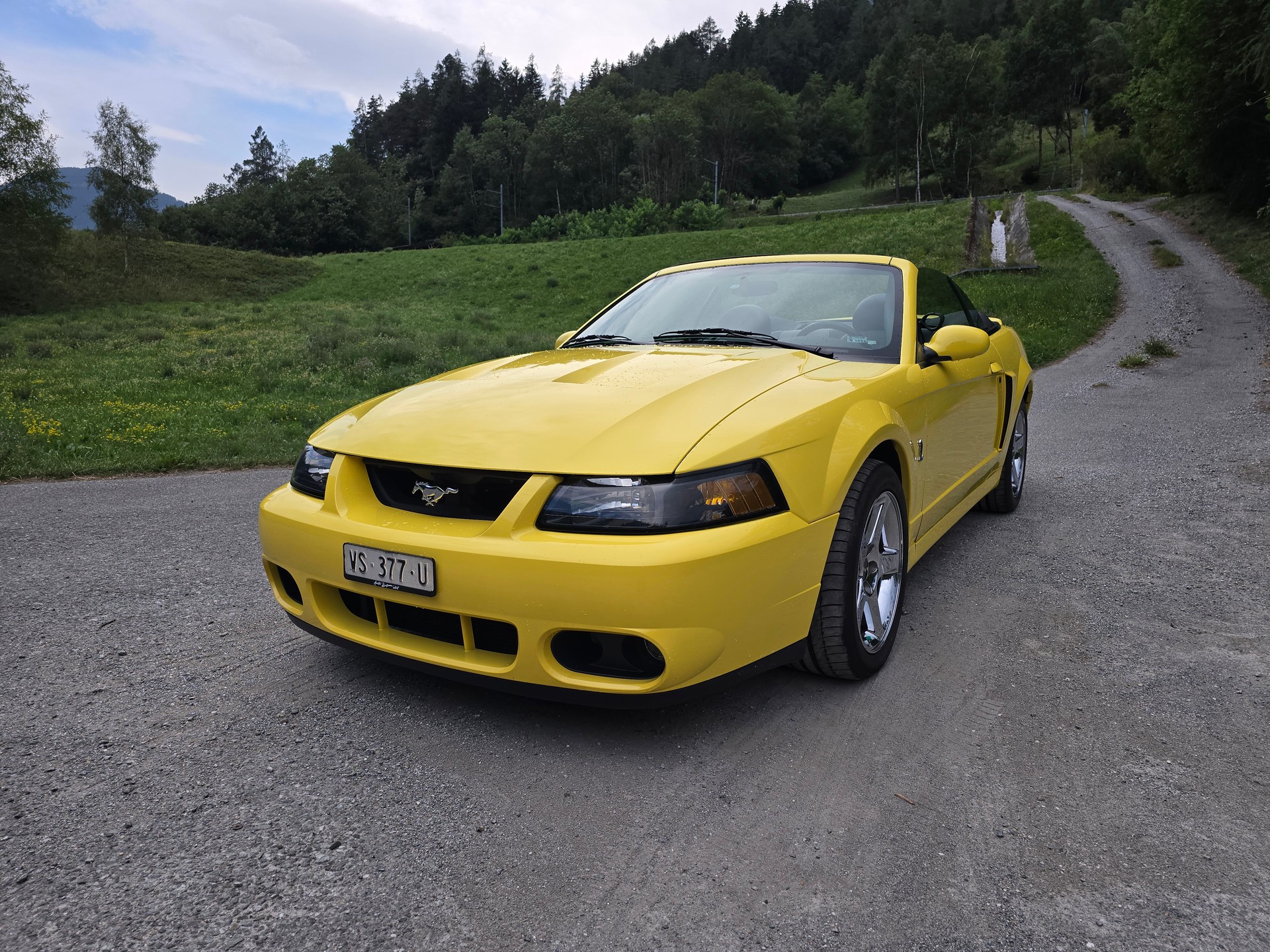 FORD Cobra SVT Terminator 400 PS Compressor