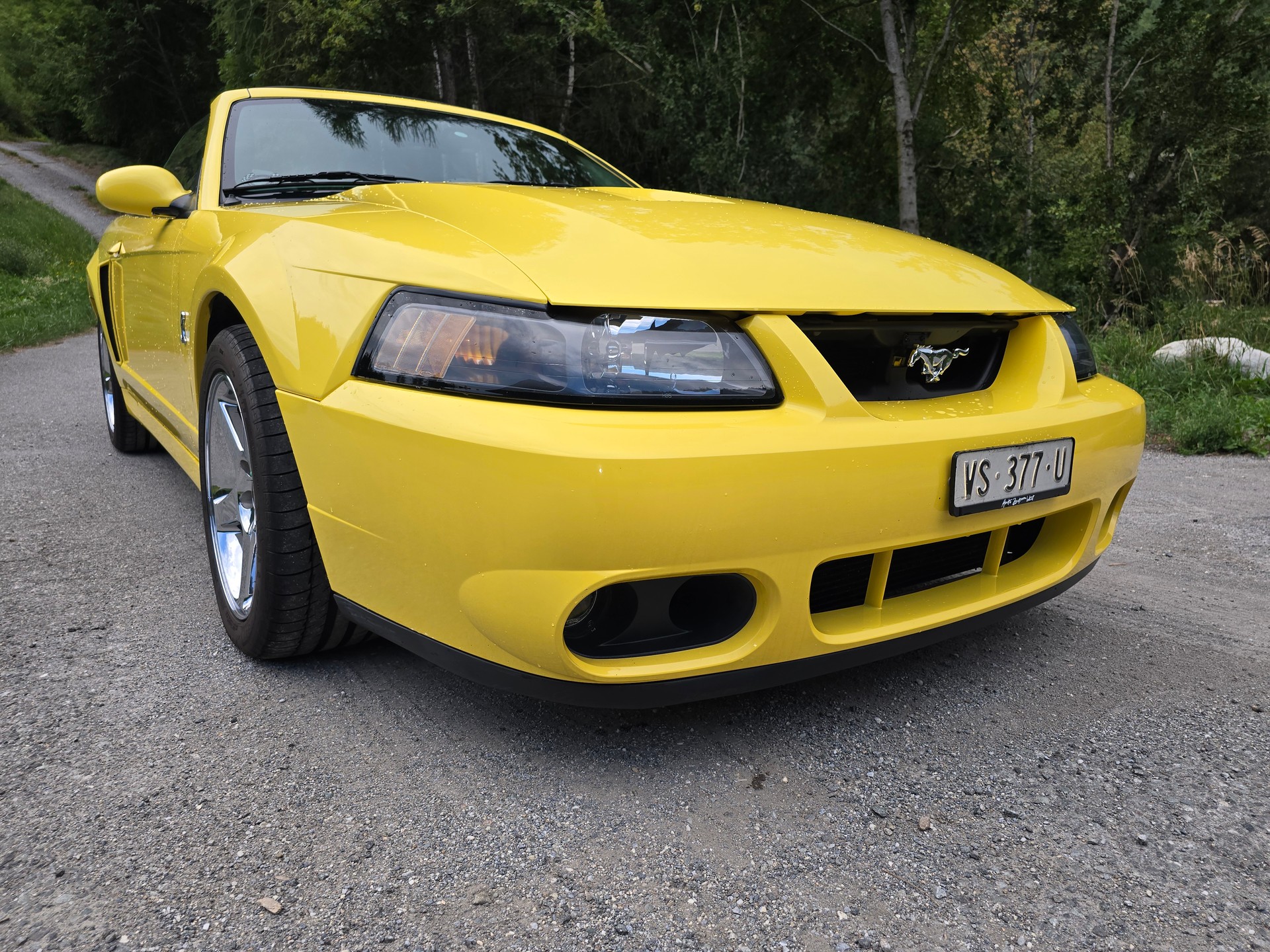 FORD Cobra SVT Terminator 400 PS Compressor-image-12