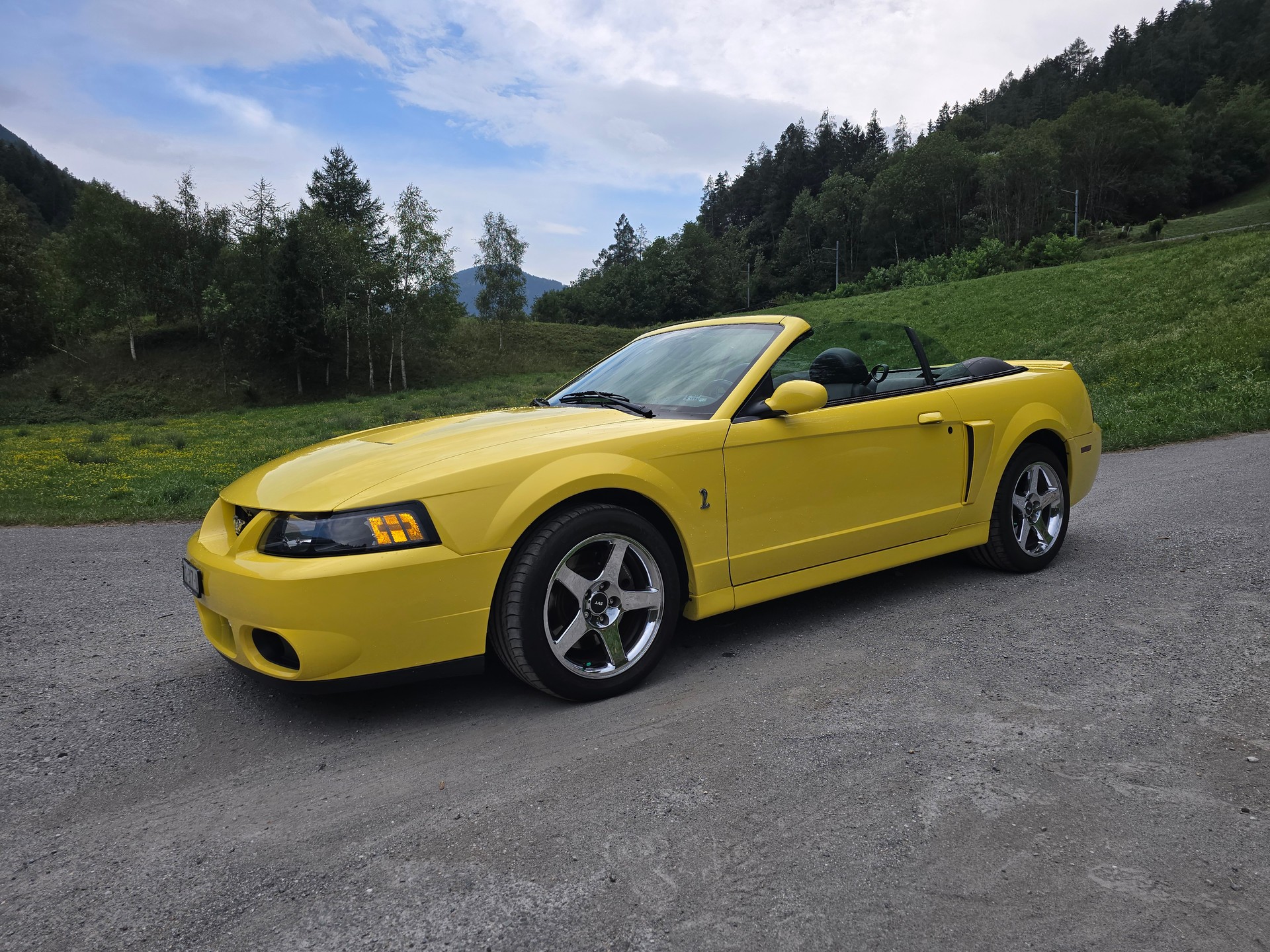 FORD Cobra SVT Terminator 400 PS Compressor-showroom-element-1