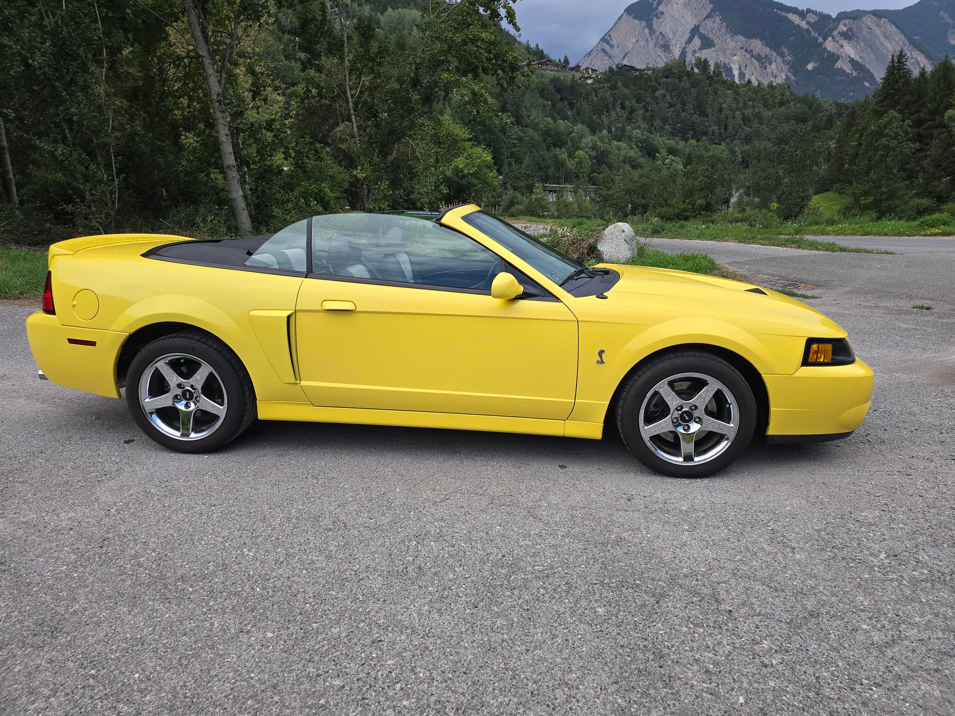 FORD Cobra SVT Terminator 400 PS Compressor-showroom-element-3