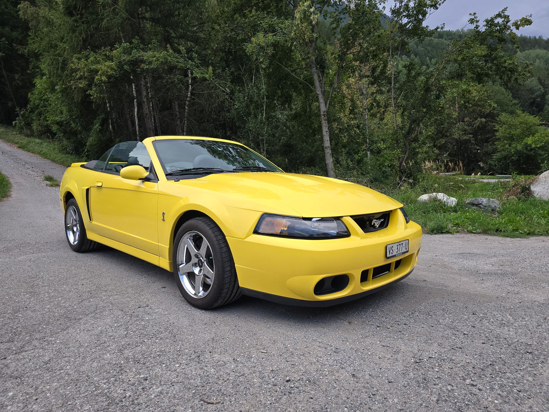 FORD Cobra SVT Terminator 400 PS Compressor-showroom-element-2