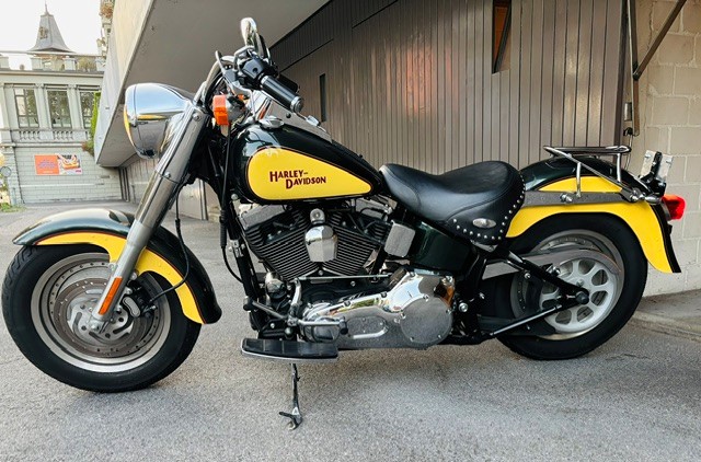 HARLEY-DAVIDSON FLSTF-I Fat Boy-image-0