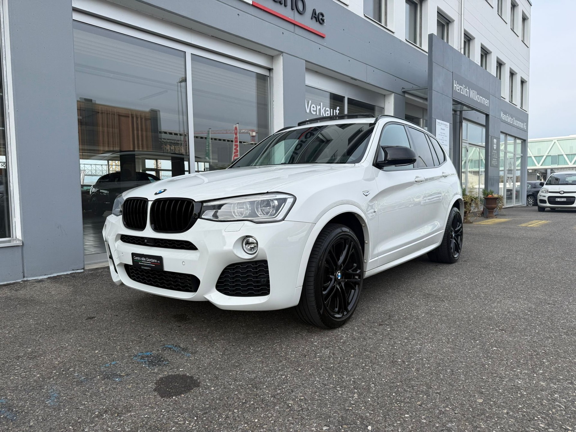 BMW X3 xDrive 35d Steptronic-showroom-element-3