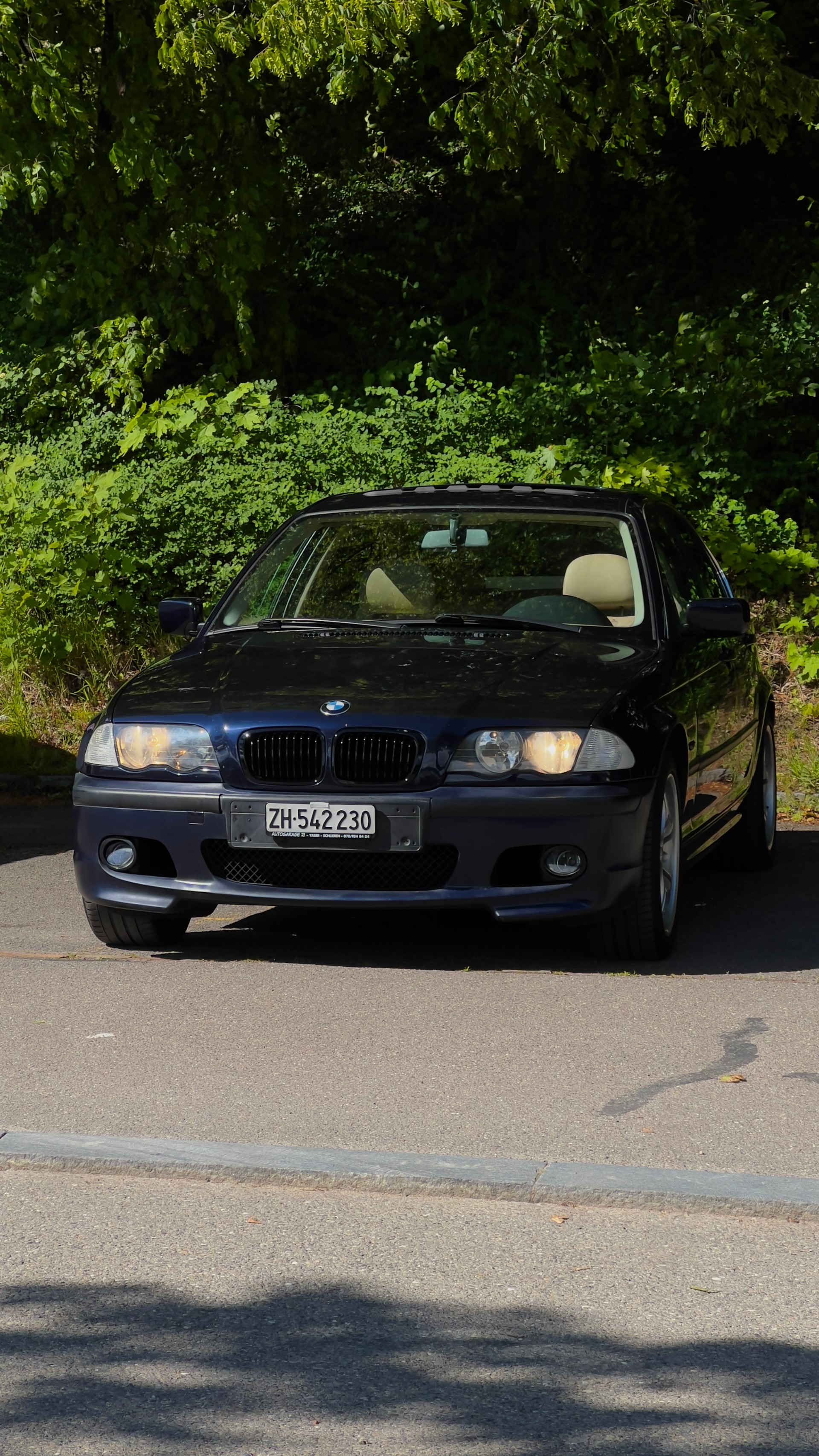 BMW 325i-image-1