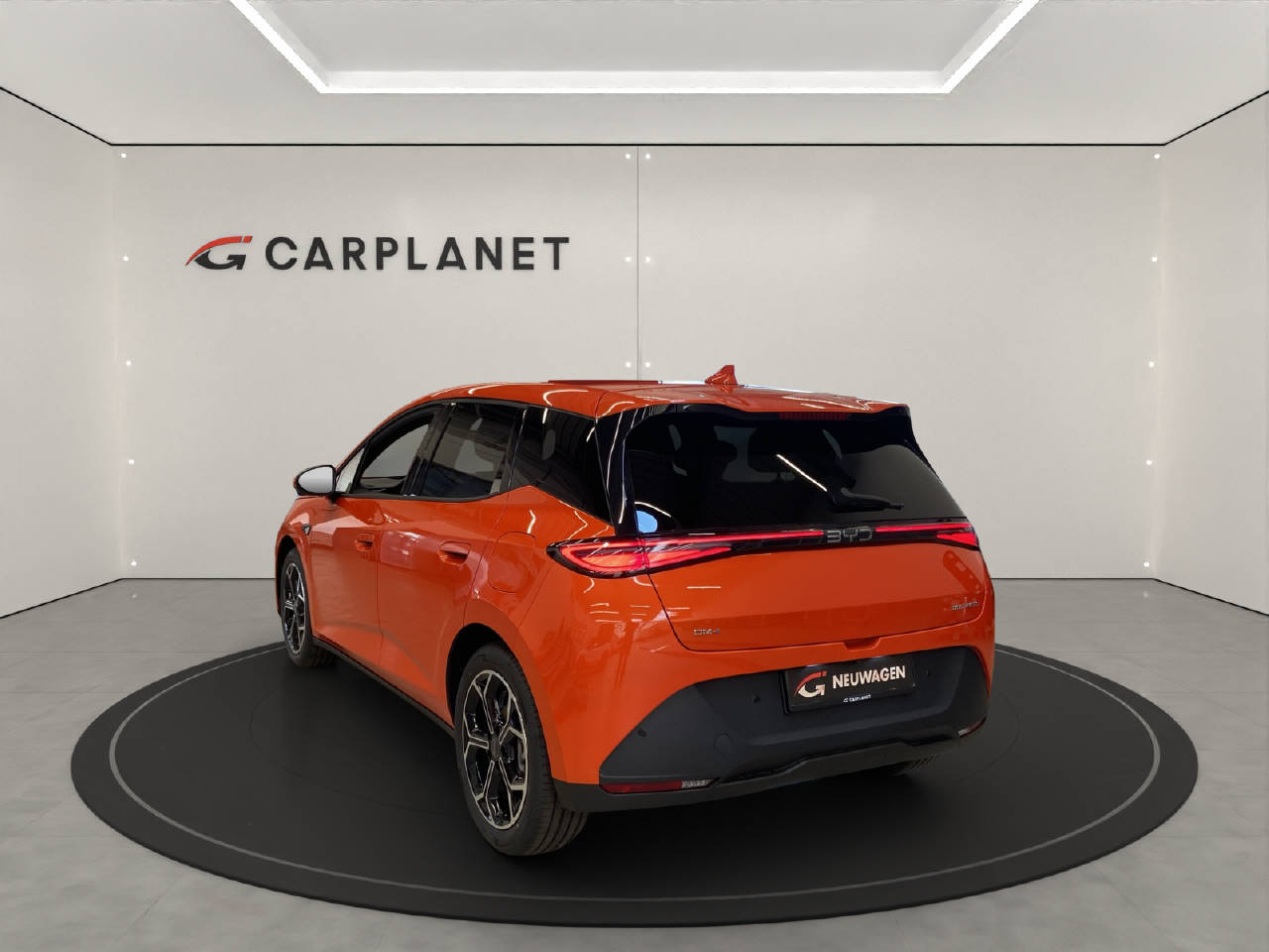BYD Dolphin G DM-i Comfort-showroom-element-2