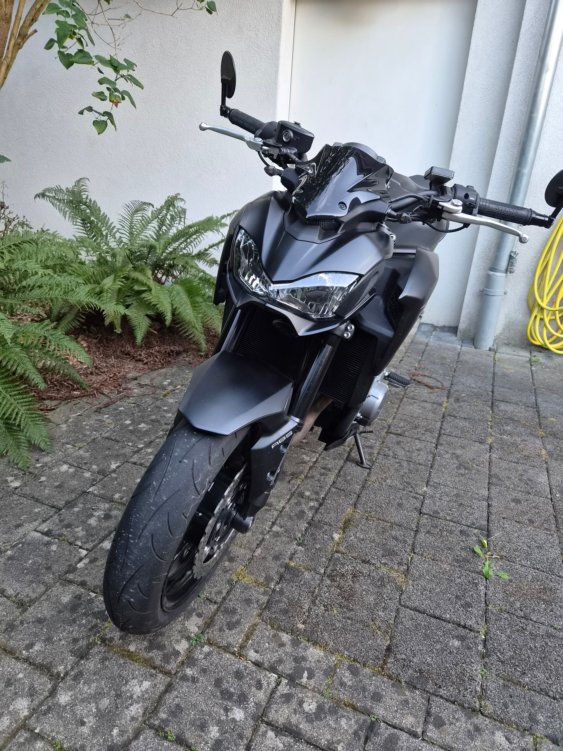 KAWASAKI Z 900-image-2