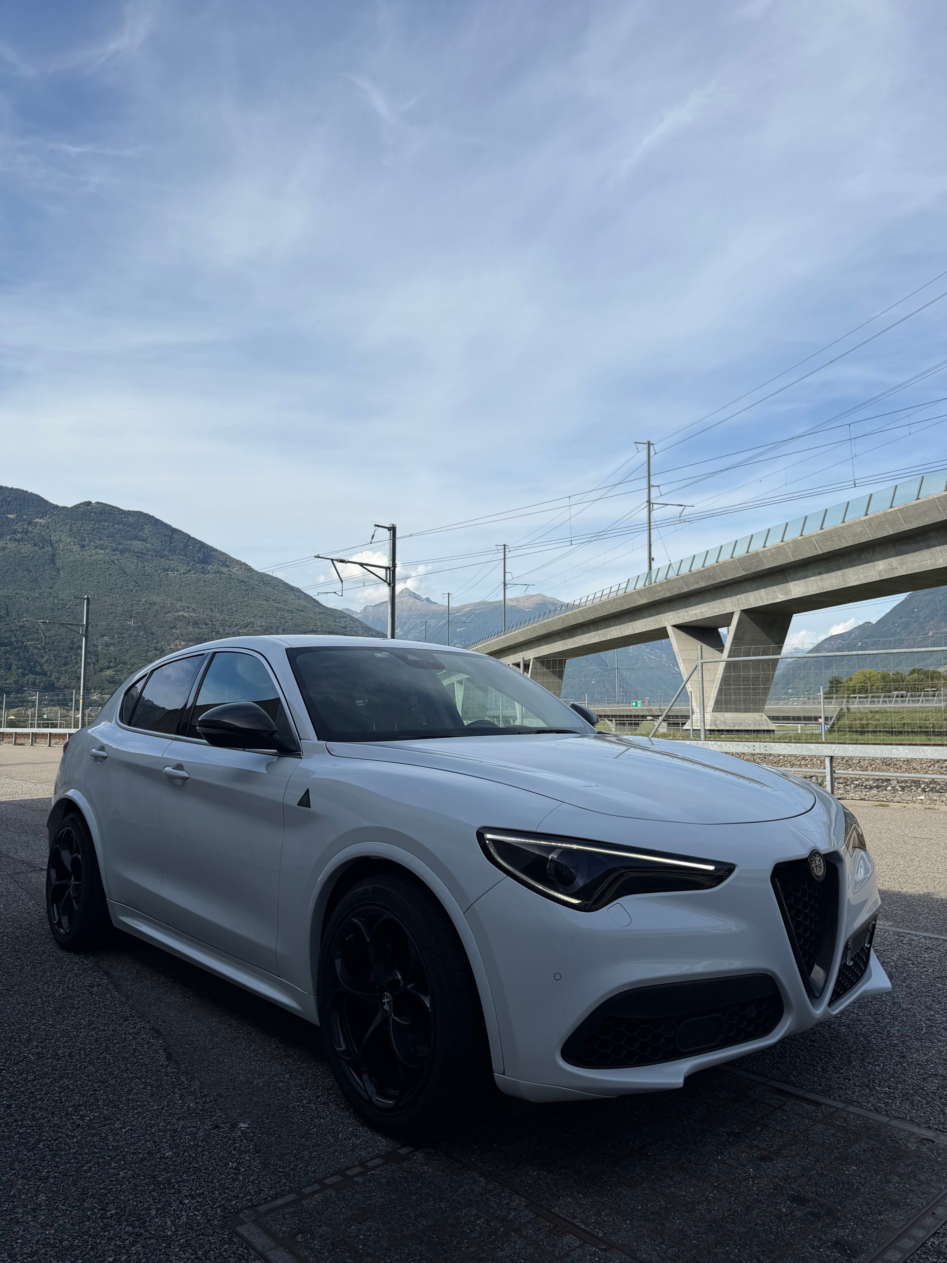 ALFA ROMEO Stelvio 2.0 Q4 280 Executive-image-2