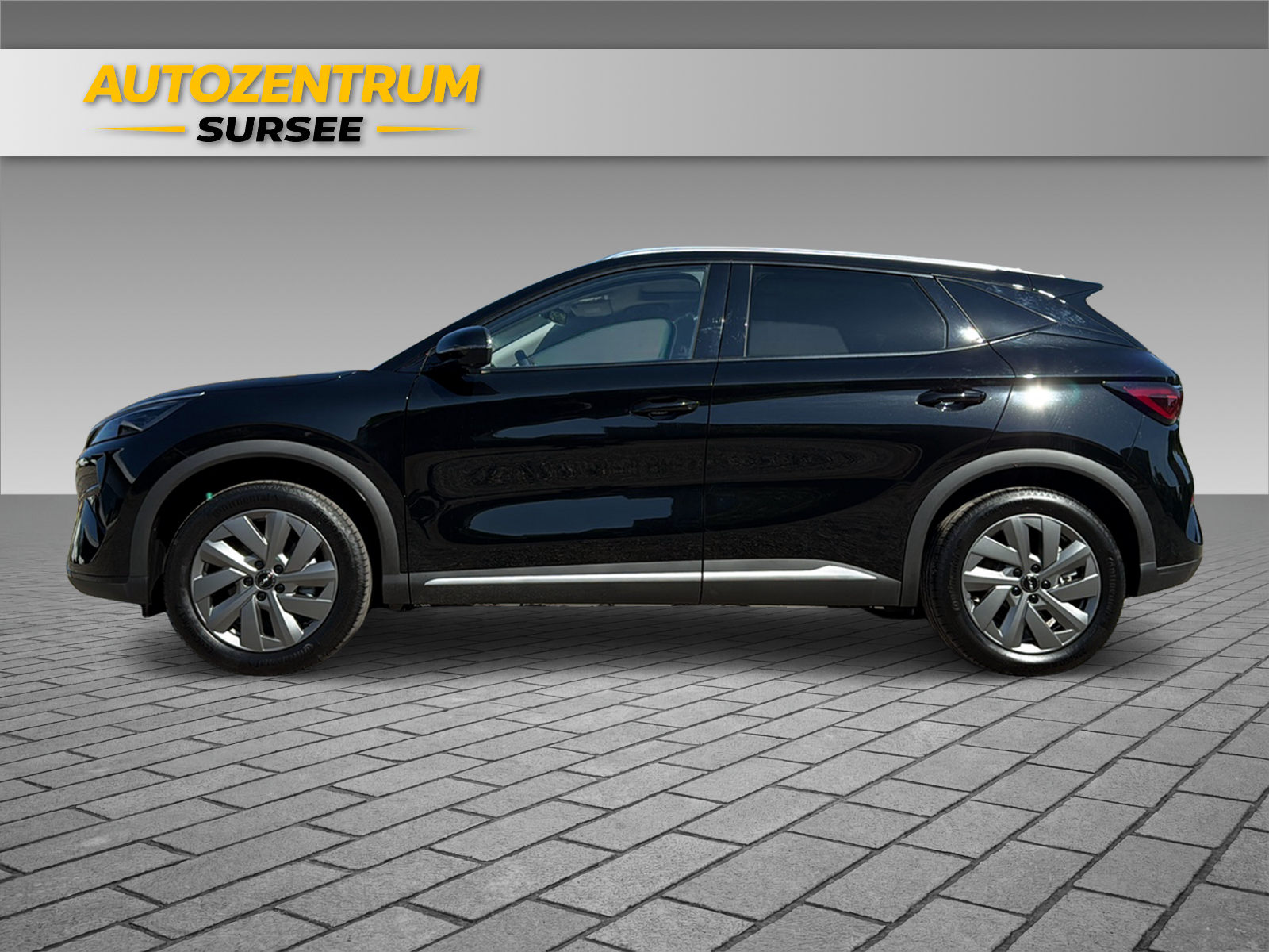 BYD Atto 3 EVO Excellence AWD-showroom-element-2