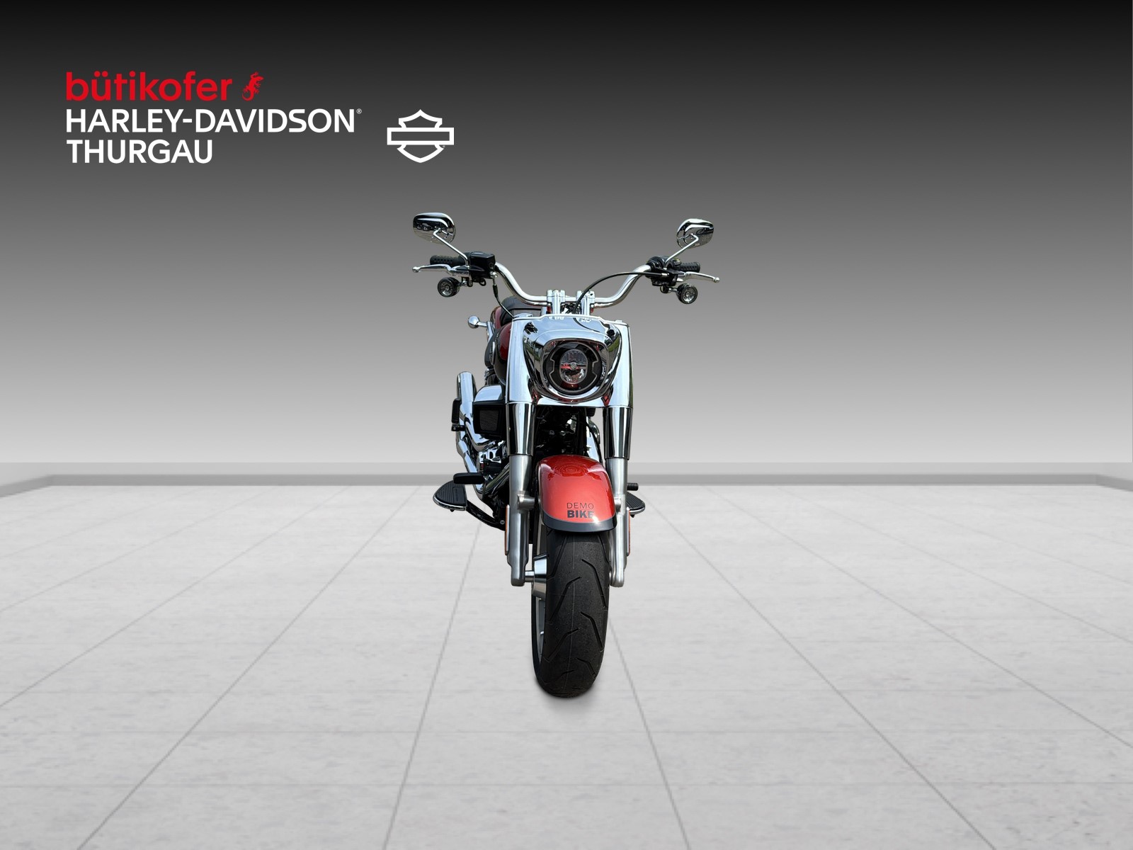 HARLEY-DAVIDSON FLFB Fat Boy 117-image-6