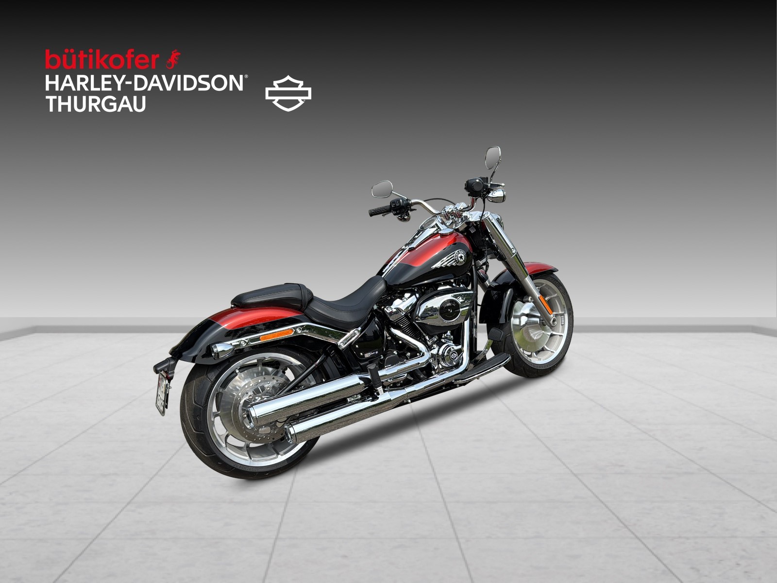 HARLEY-DAVIDSON FLFB Fat Boy 117-image-2