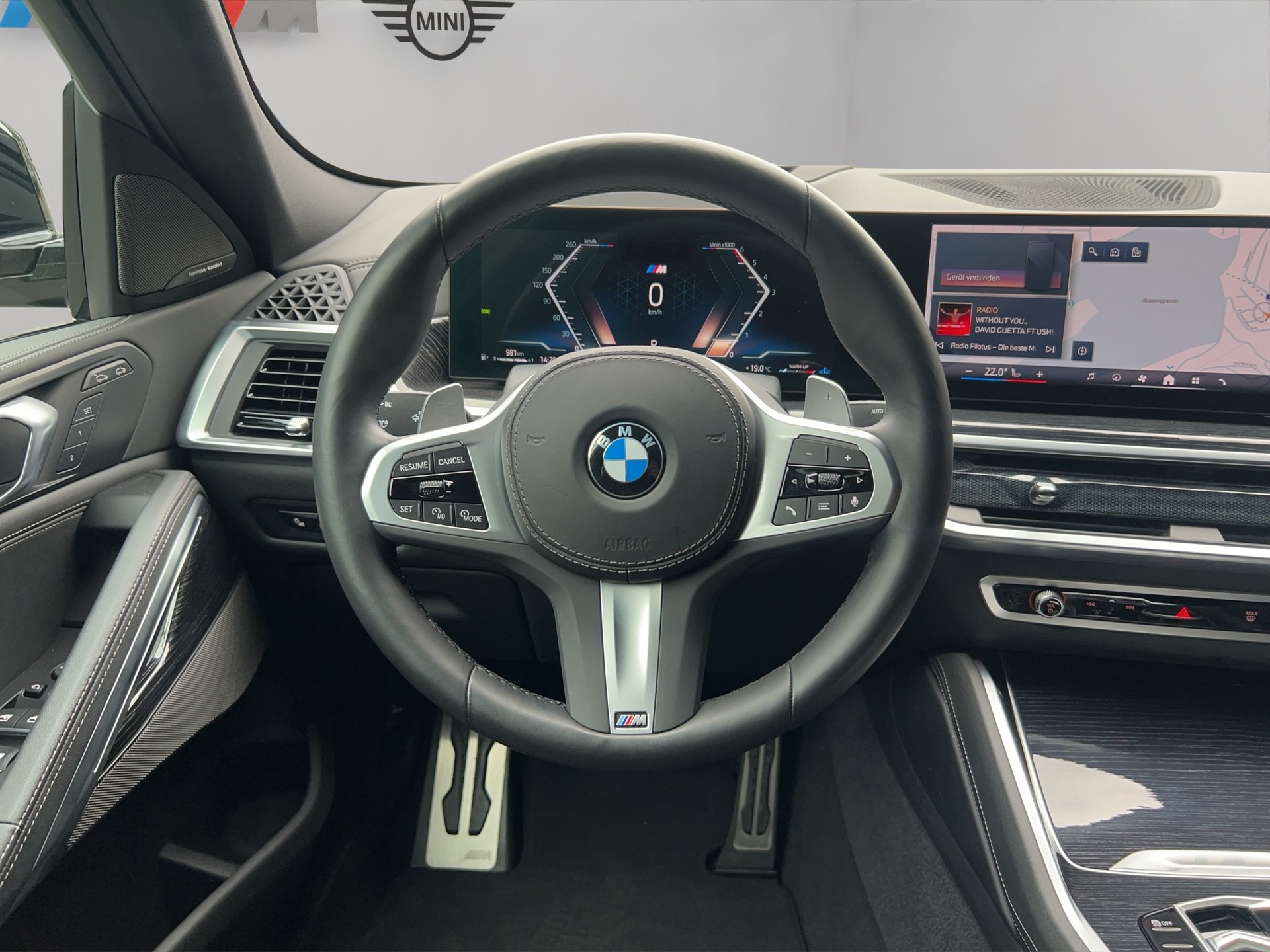 BMW X6 xDrive 48V 40d M Sport Pro Steptronic-image-13