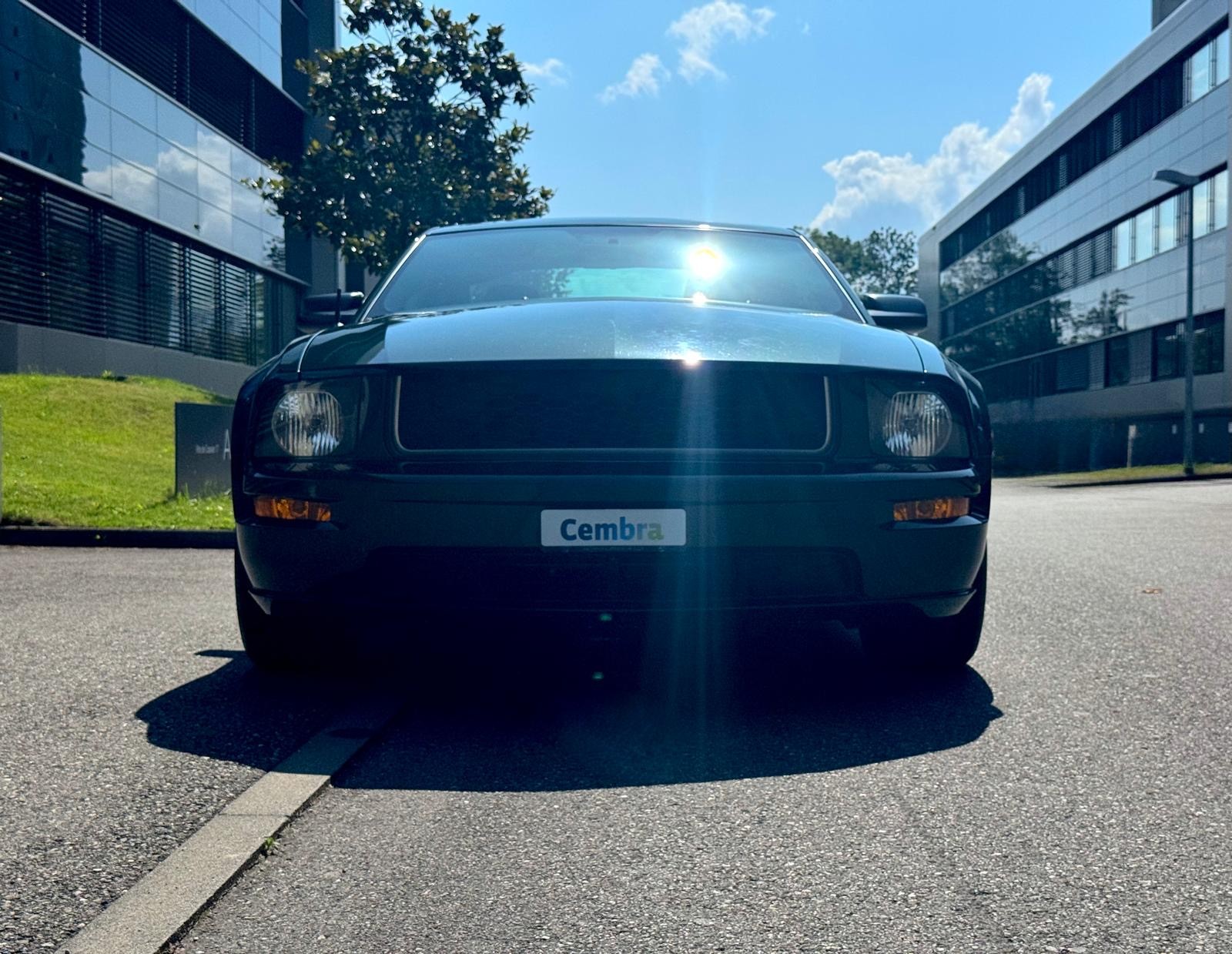 FORD GT Bullitt-image-6