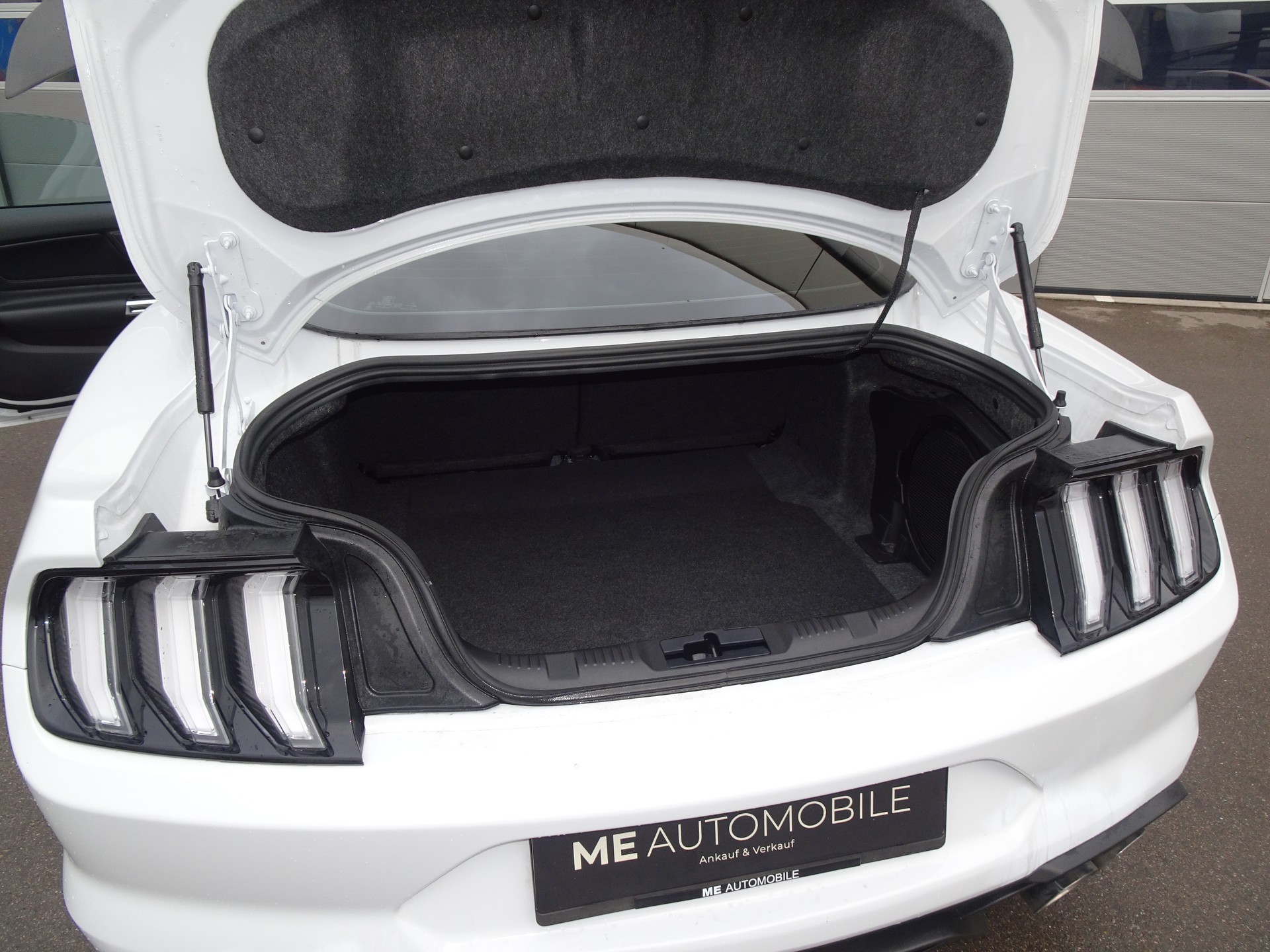 FORD Mustang Fastback 5.0 V8 Mach 1-image-8