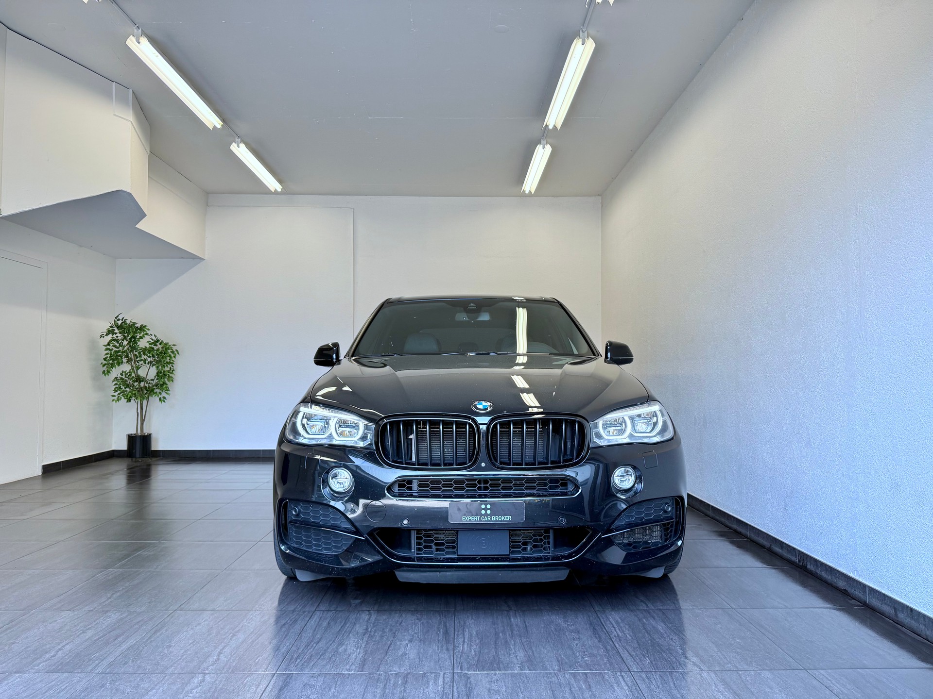 BMW X5 xDrive M50d Steptronic-showroom-element-3