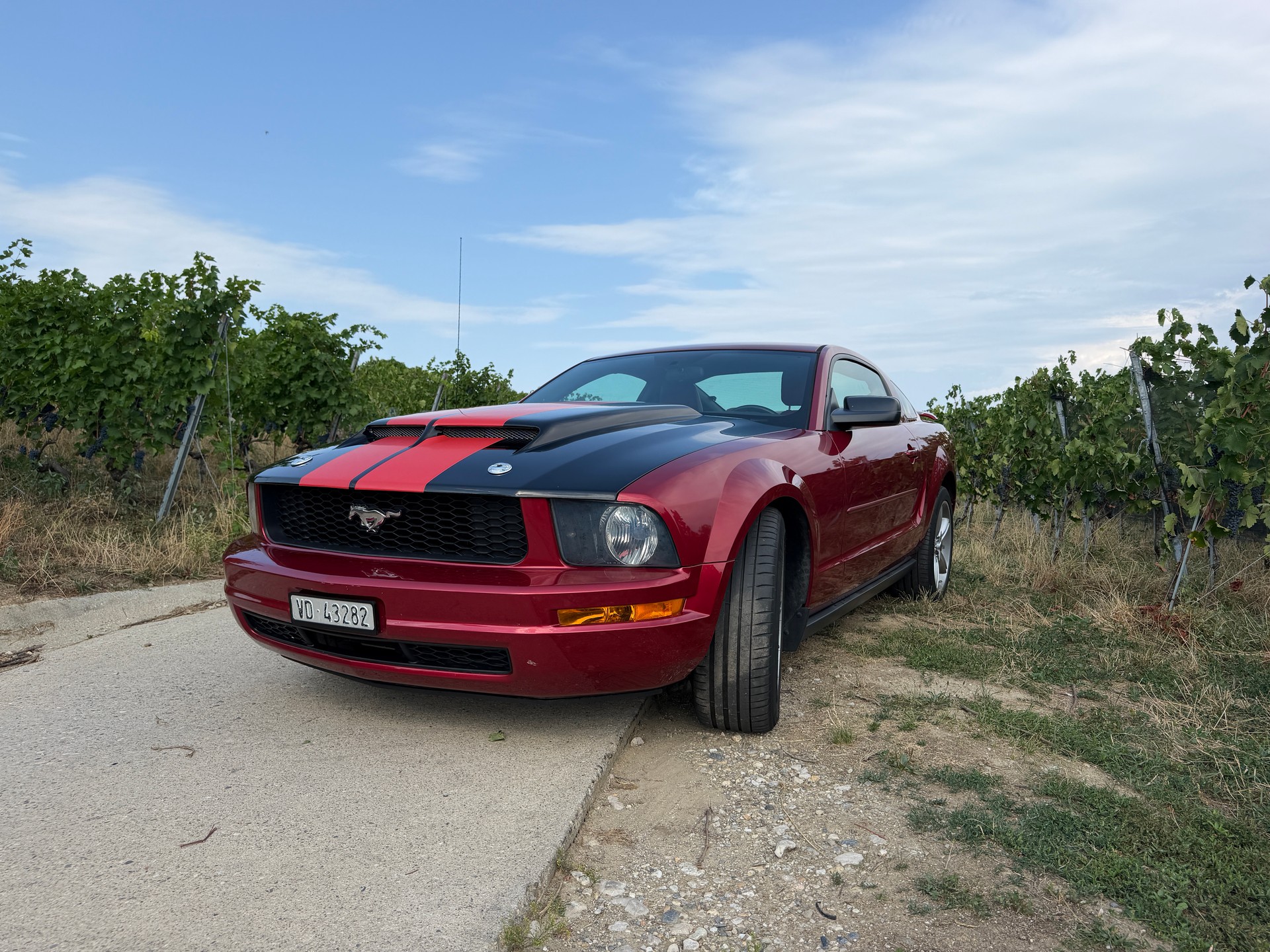 FORD MUSTANG
