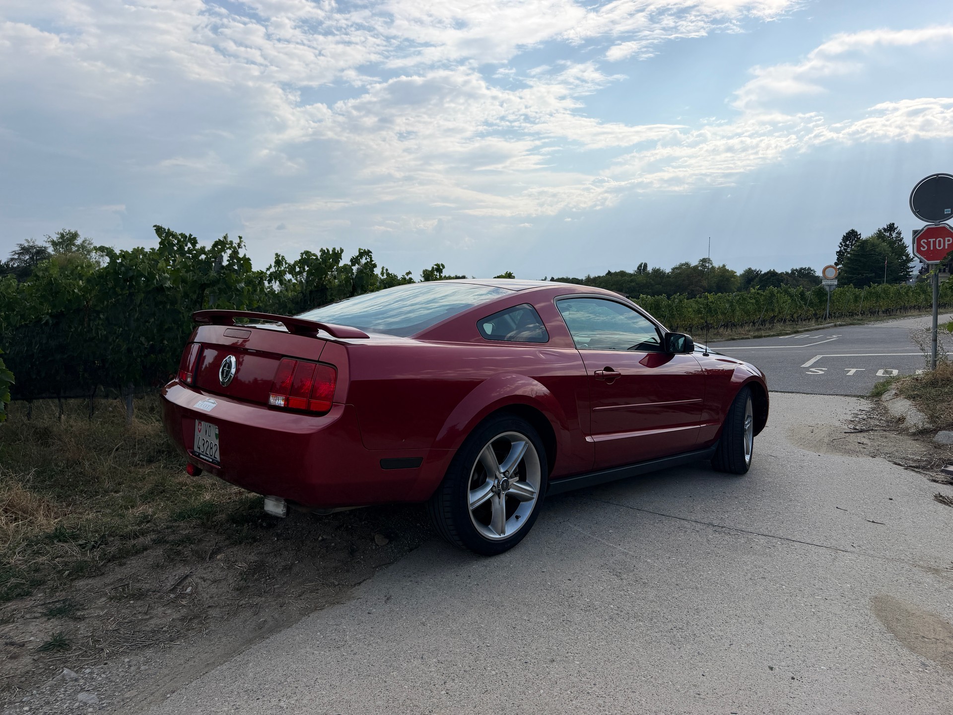 FORD MUSTANG-image-1